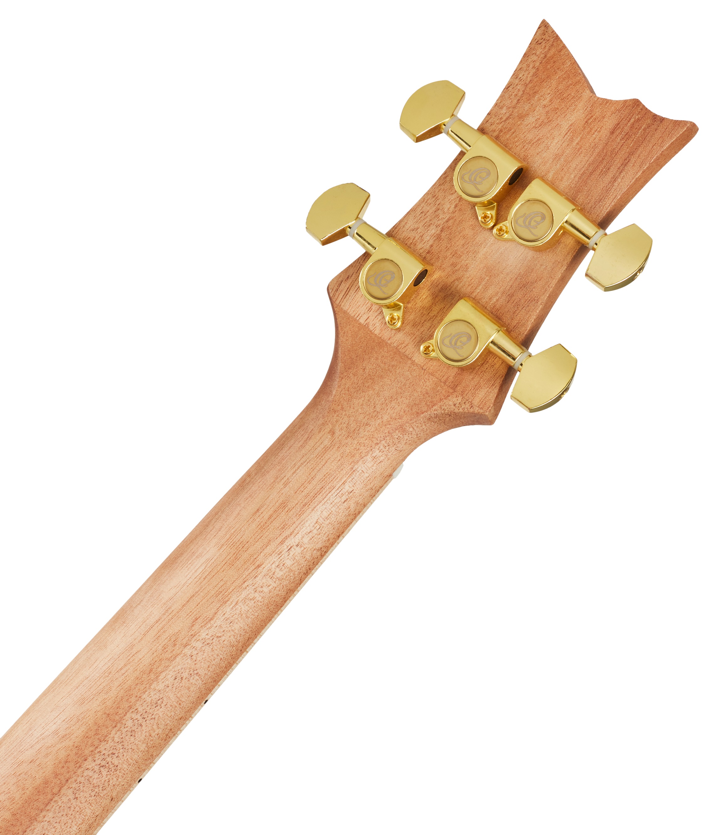 Ortega RUAR-EY (obrázek 5)