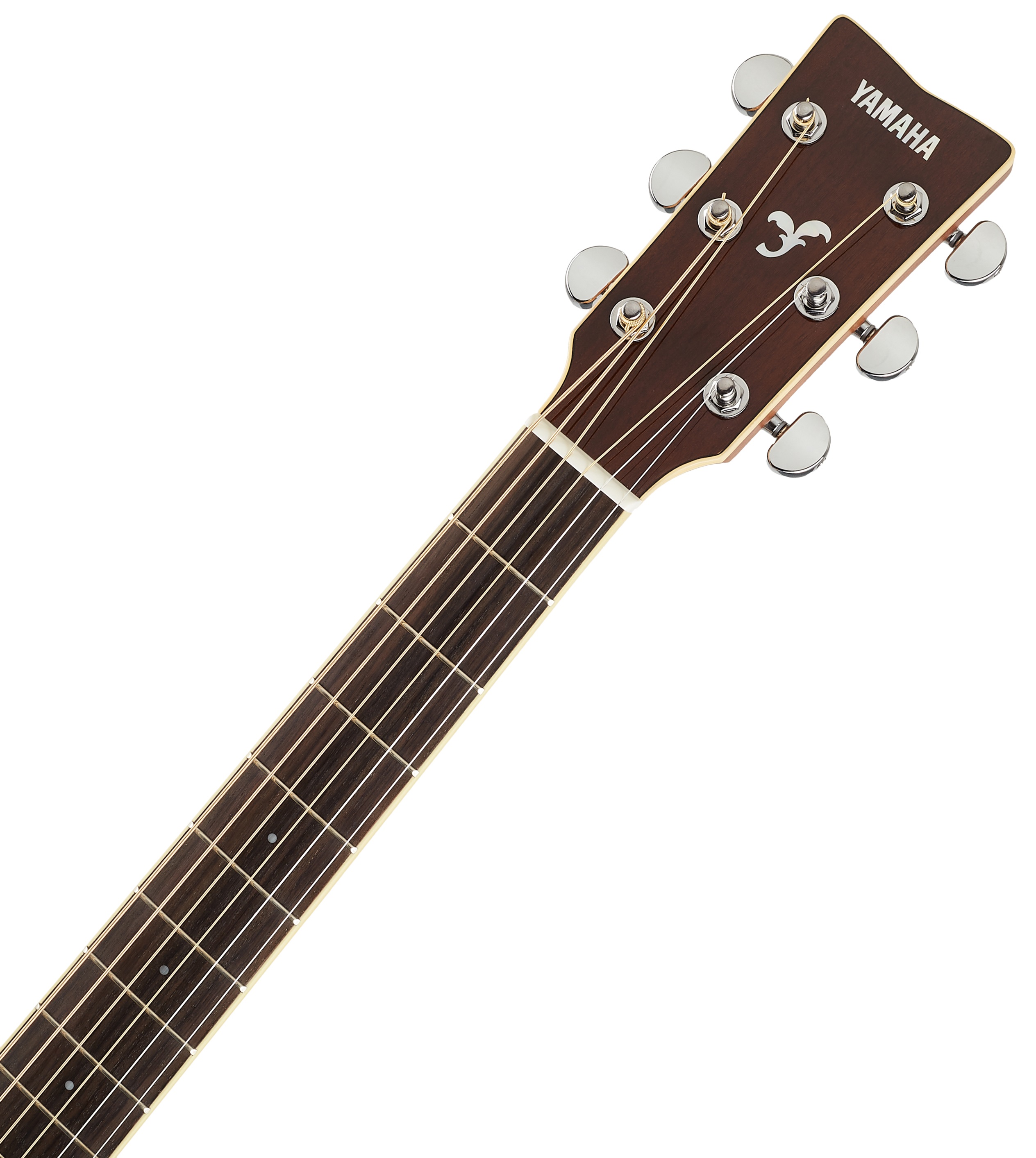 Yamaha FG840 NT (obrázek 4)
