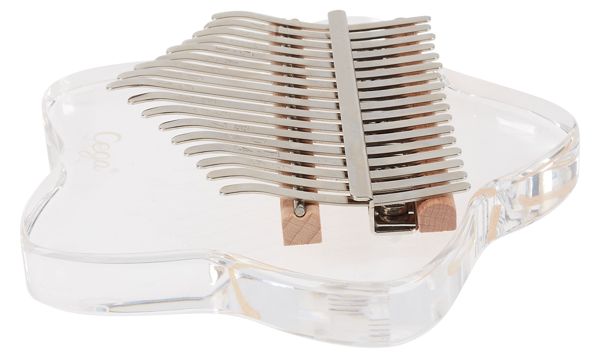 Cega Star (obrázek 5)