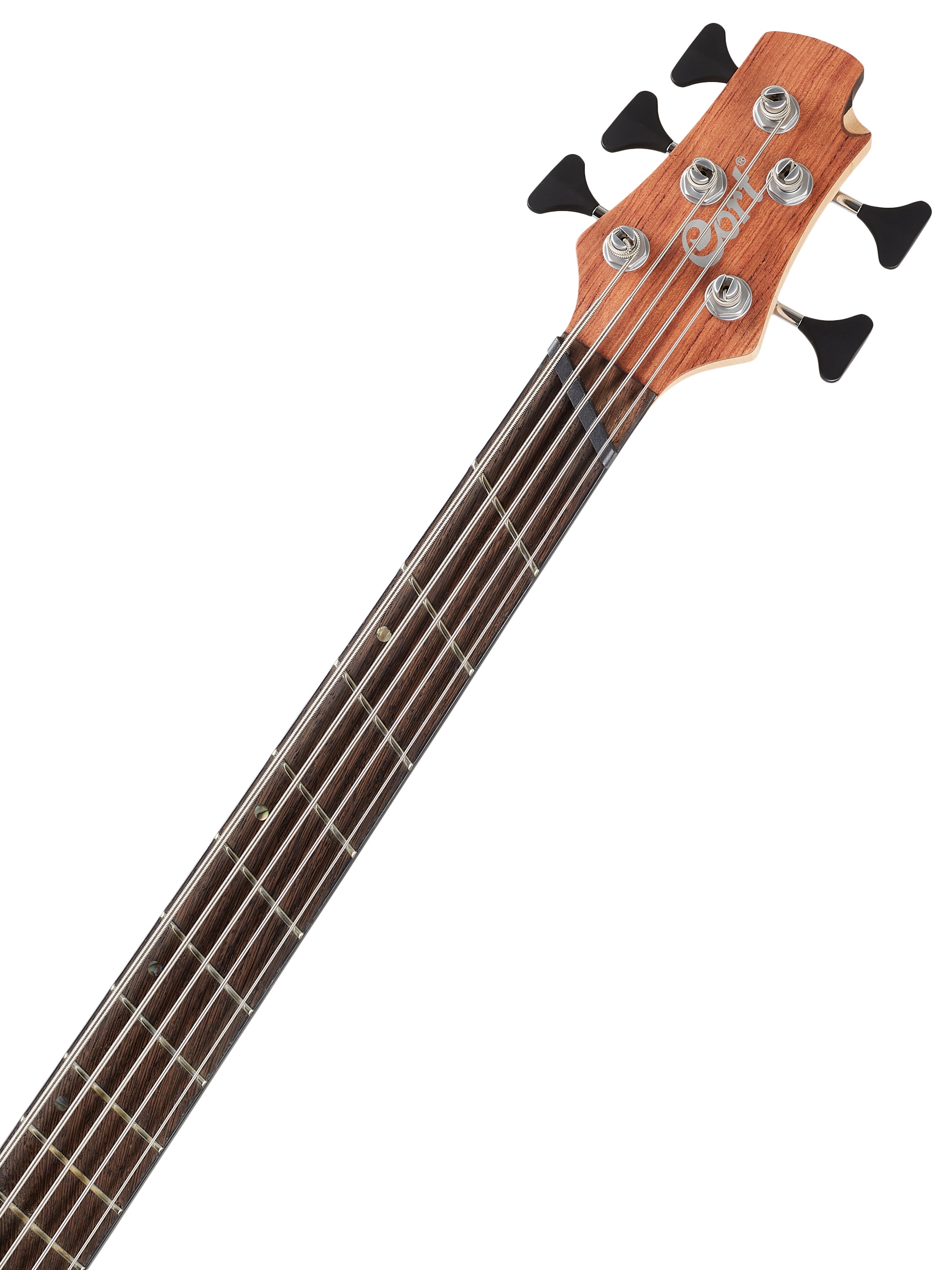 Cort A5 Beyond OPBN (obrázek 4)