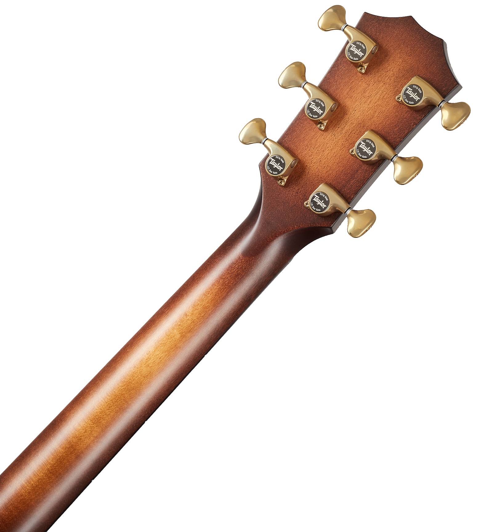Taylor Builders Edition 614ce WHB (obrázek 6)