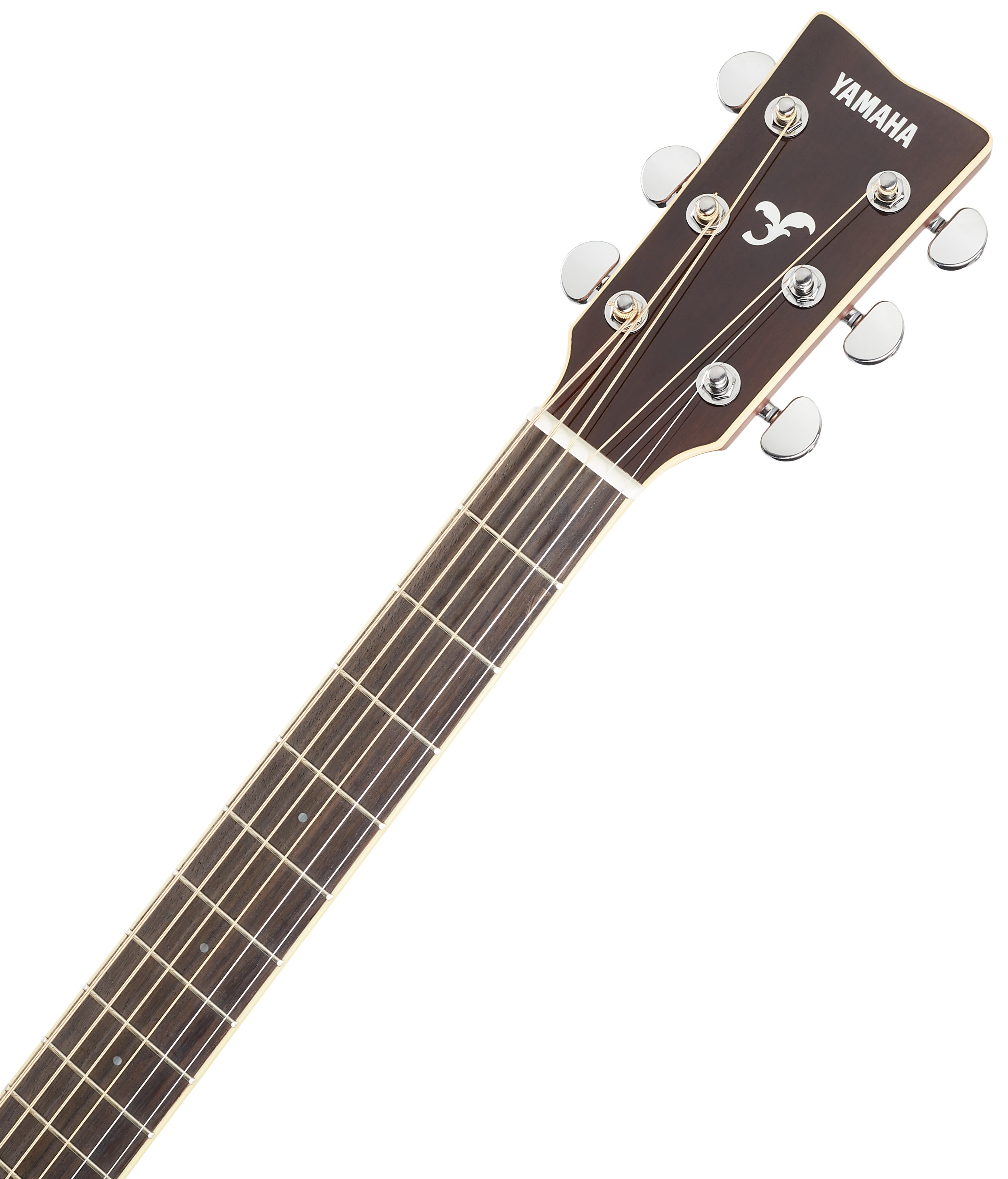 Yamaha FS830 NT (obrázek 4)