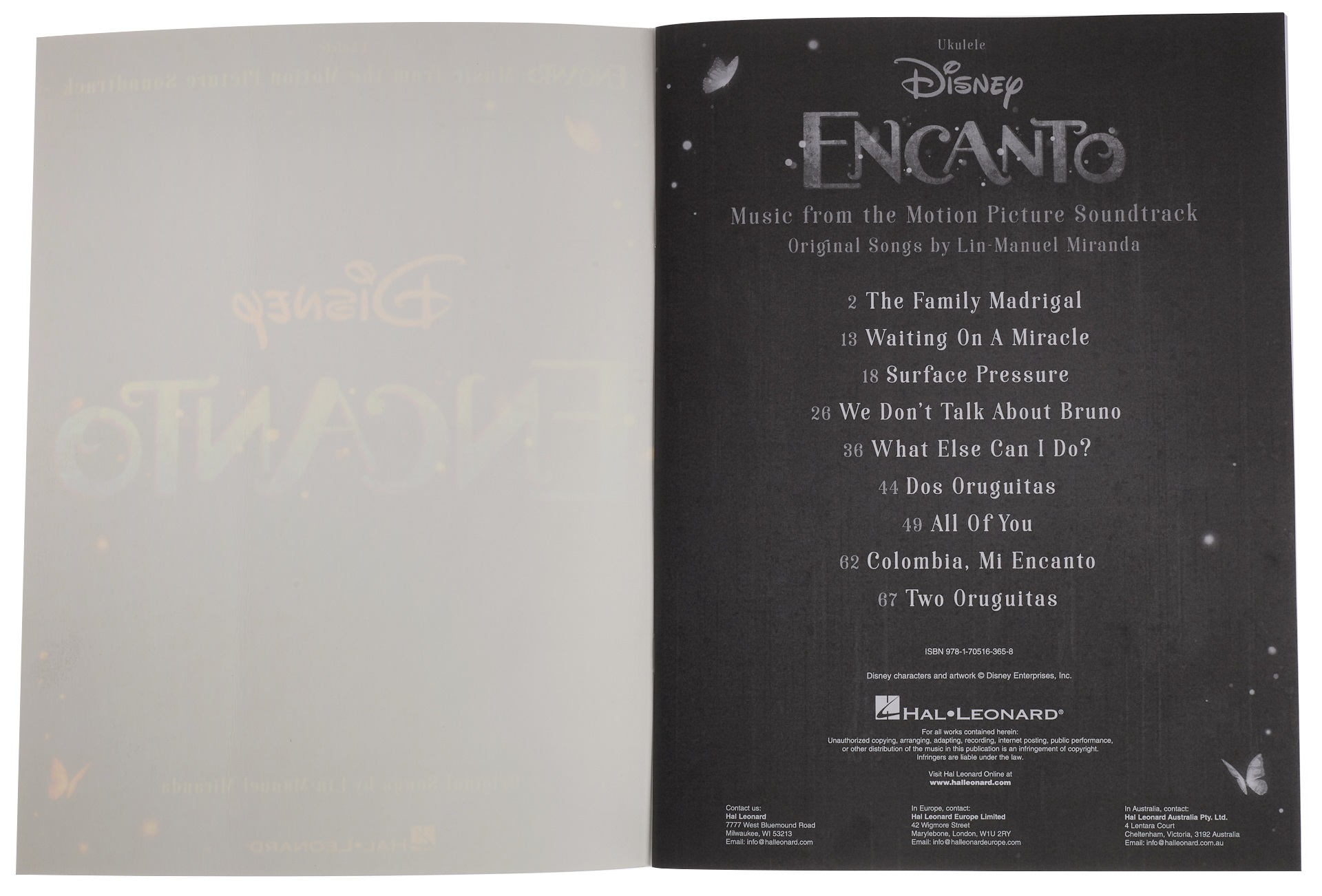 MS Encanto (obrázek 3)