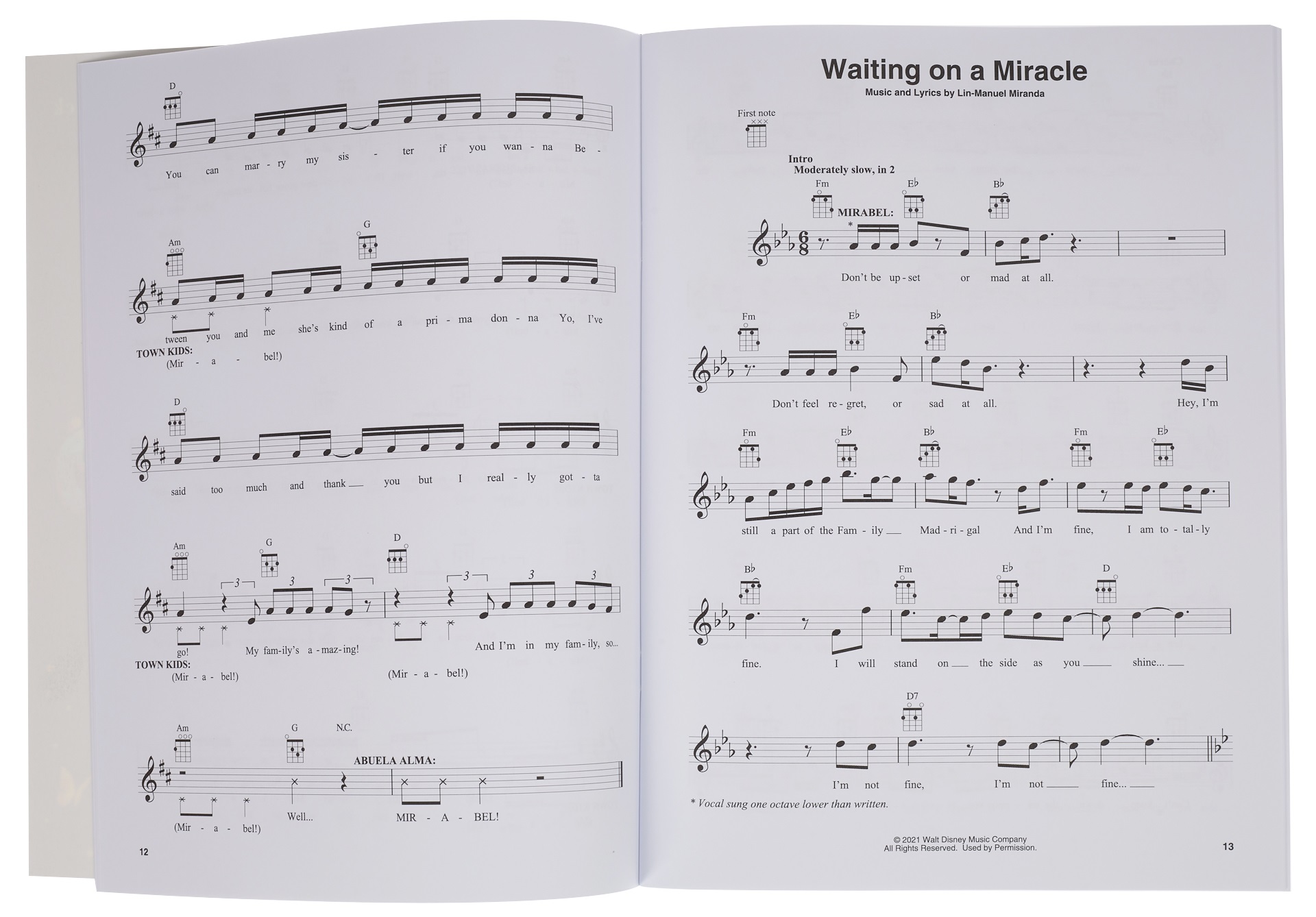 MS Encanto (obrázek 4)