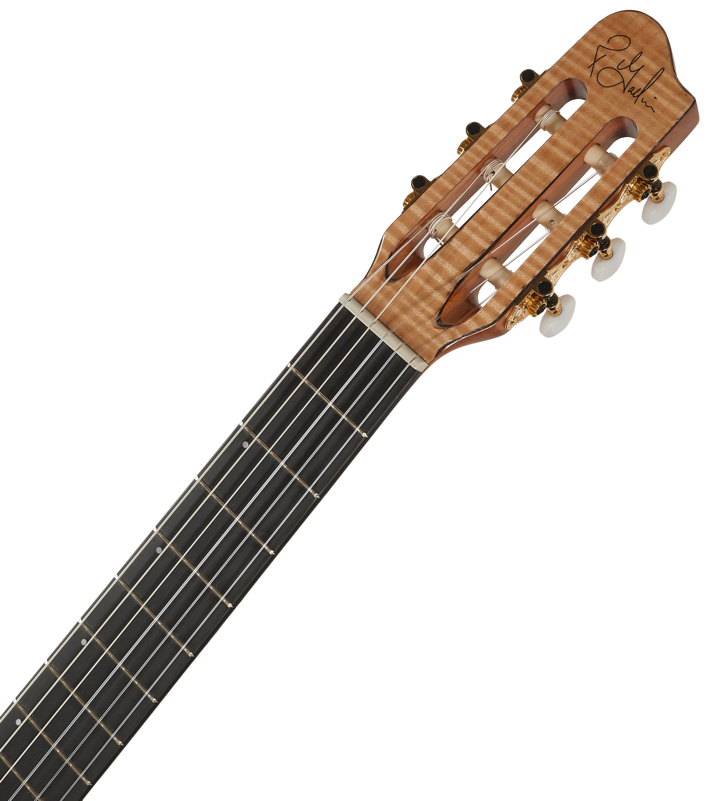 Godin Arena Flame Maple CW Dual Source EQ (obrázek 4)