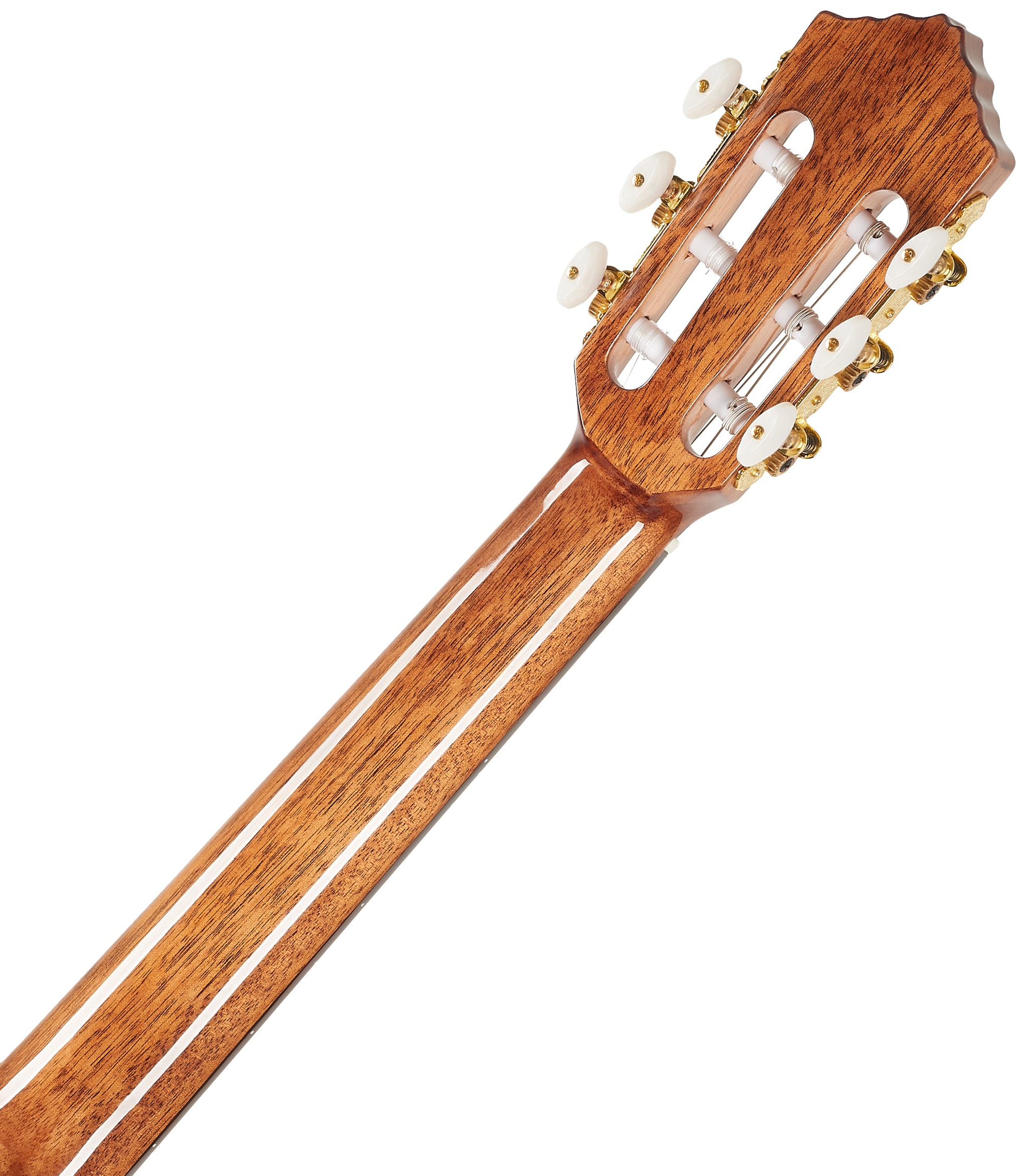 Ortega RCE159SN (obrázek 6)