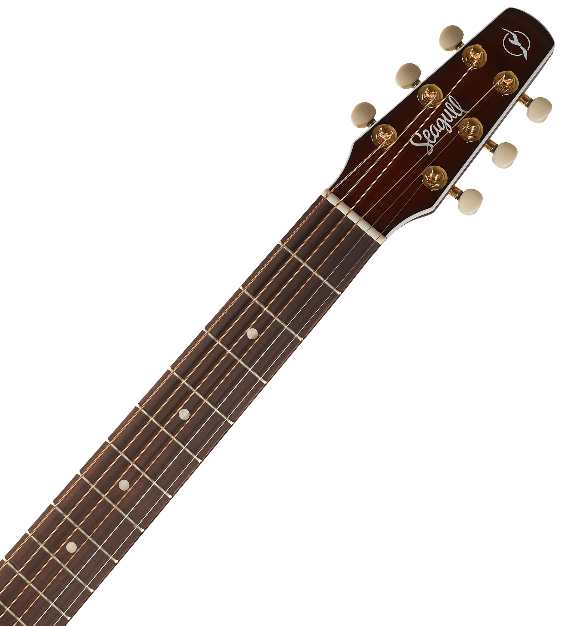 Seagull Performer CW CH Burnt Umber Presys II (obrázek 5)