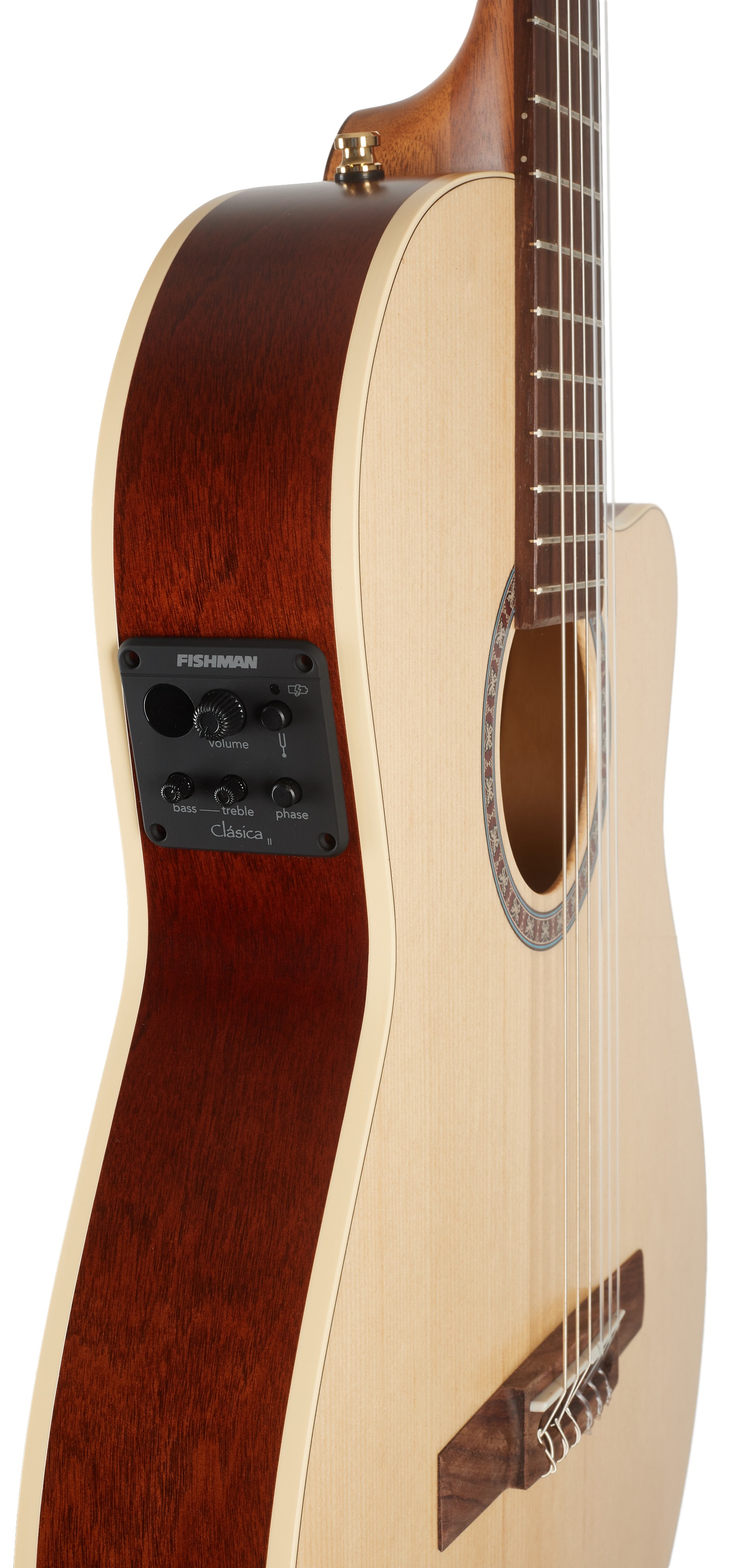 Godin Arena CW Clasica II (obrázek 4)