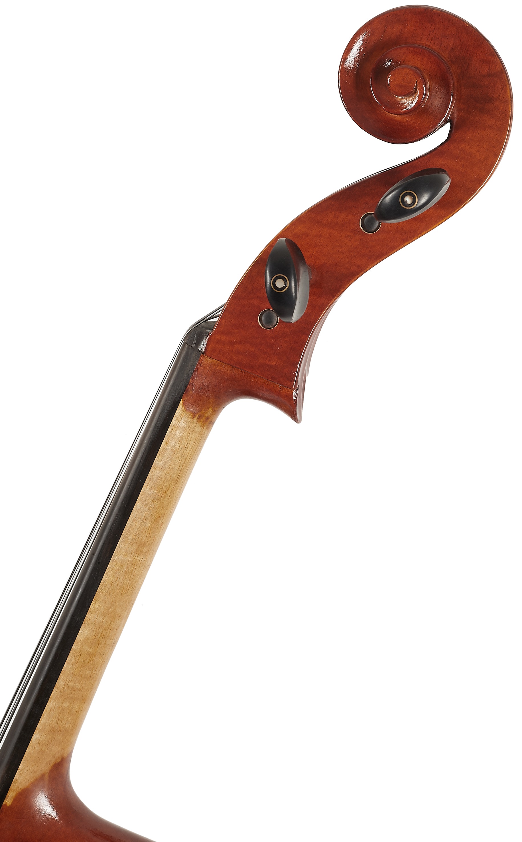Bacio Instruments Advanced Cello (AC200) 4/4 (obrázek 7)
