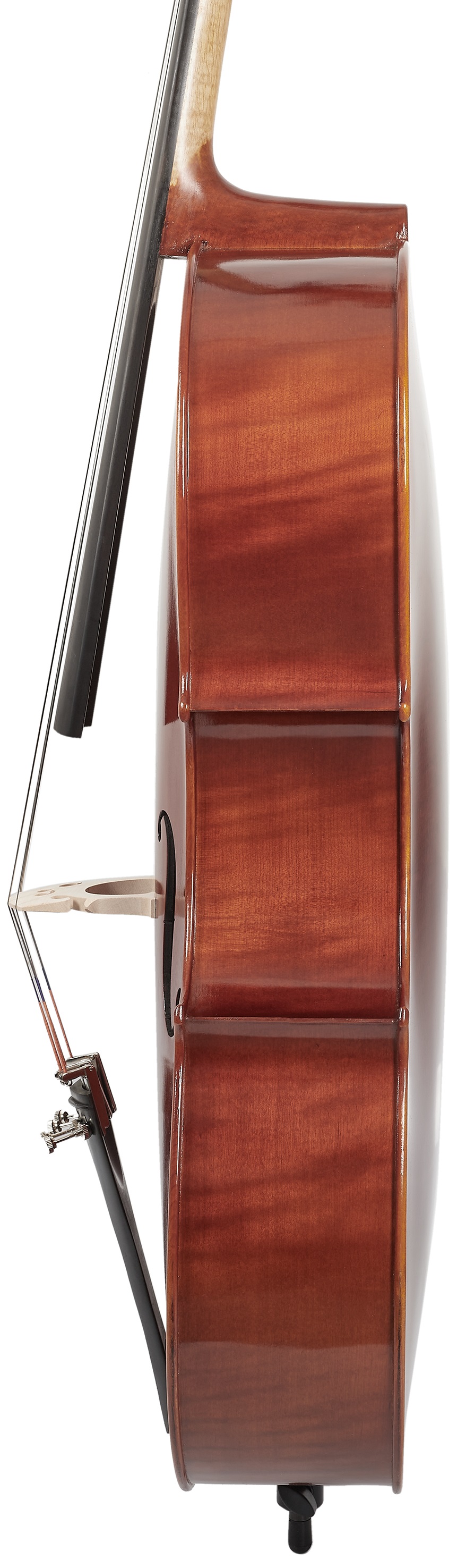 Bacio Instruments Advanced Cello (AC200) 4/4 (obrázek 9)