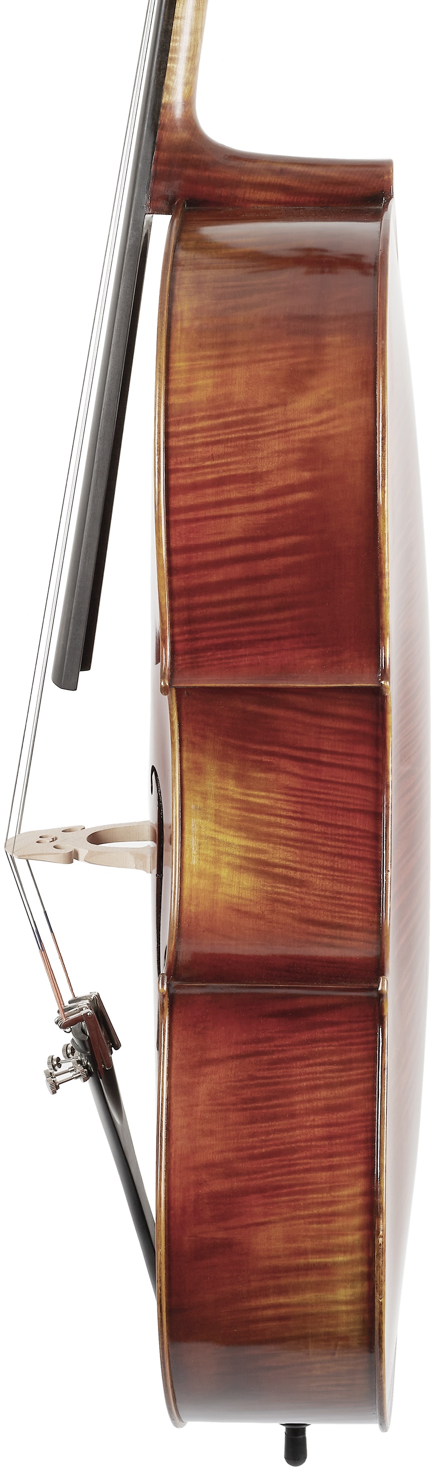 Bacio Instruments Master Grade Cello (AC500) 4/4 (použité) (obrázek 4)