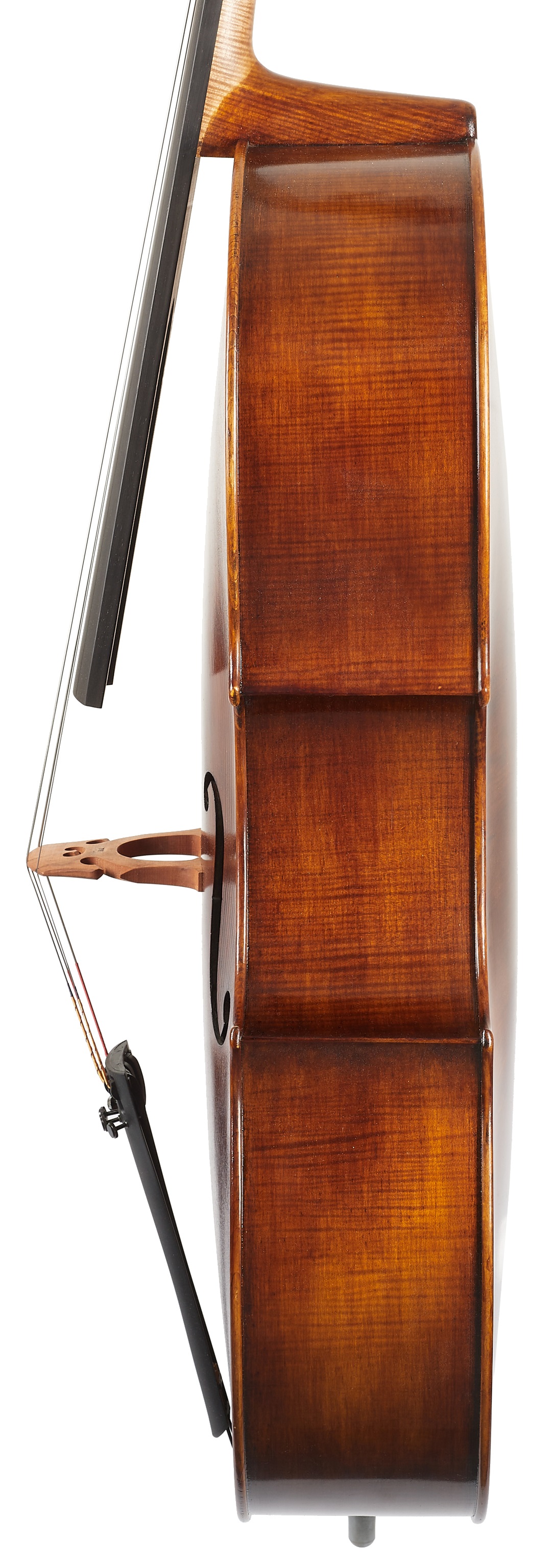 Petr Rácz Violoncello Domenico Montagnana anno 2022 (obrázek 3)