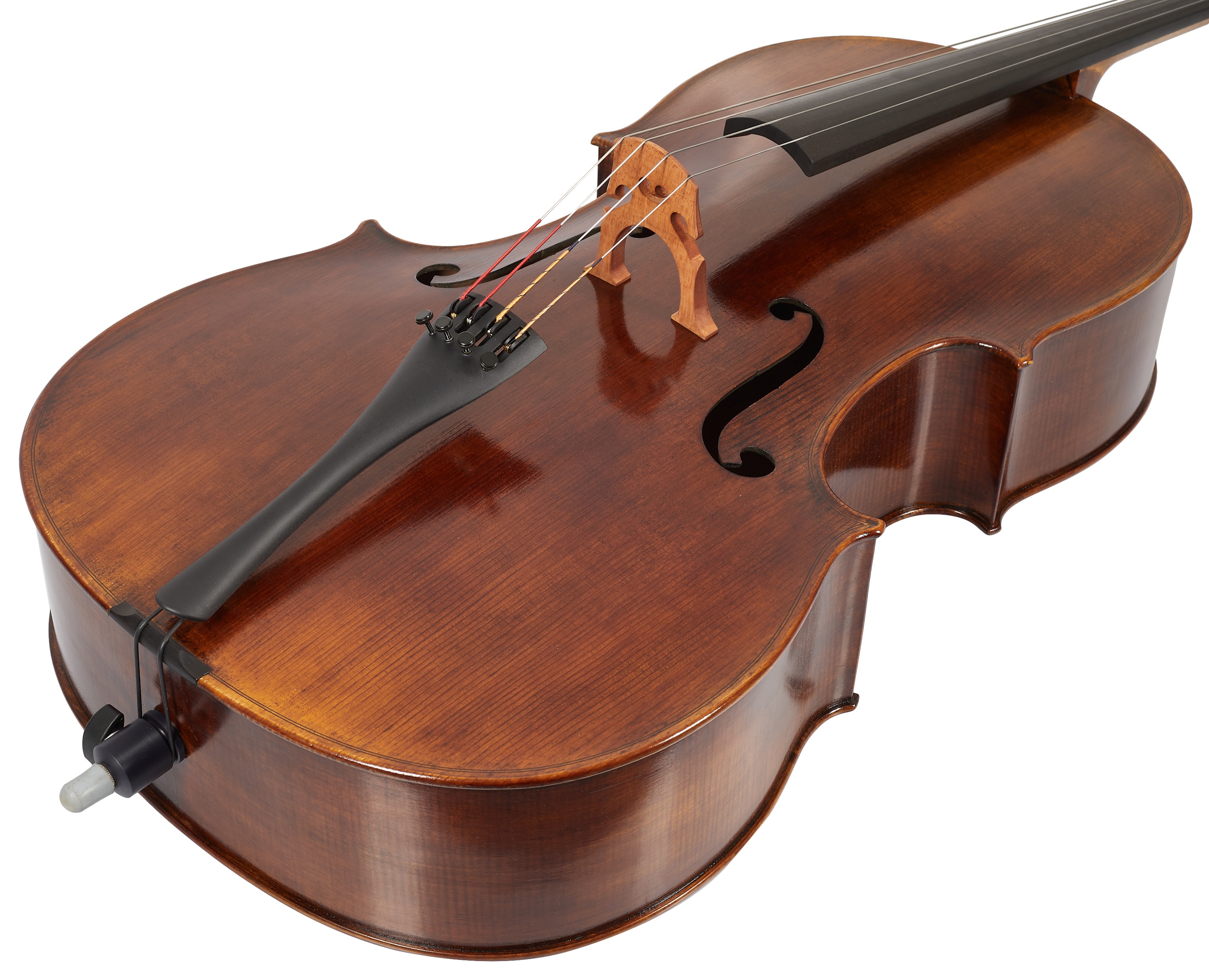 Petr Rácz Violoncello Domenico Montagnana anno 2022 (obrázek 4)