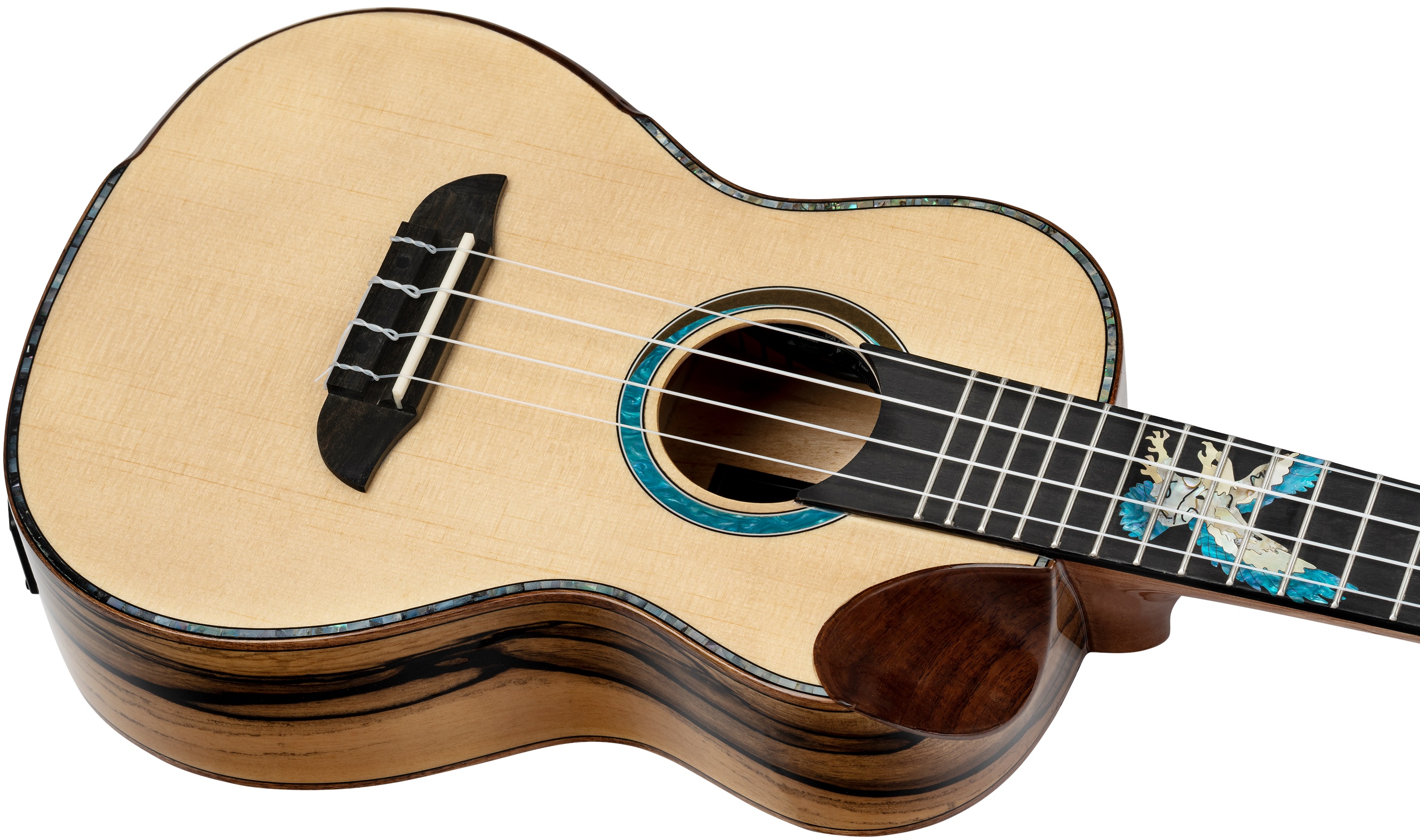 Ortega EAGLESUITE-U (obrázek 4)