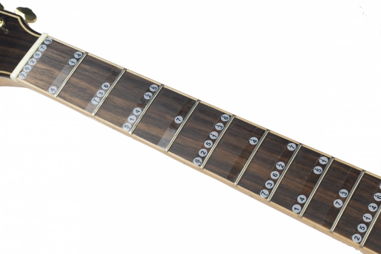 Guitto GFM-01 Fretboard Stickers (obrázek 3)