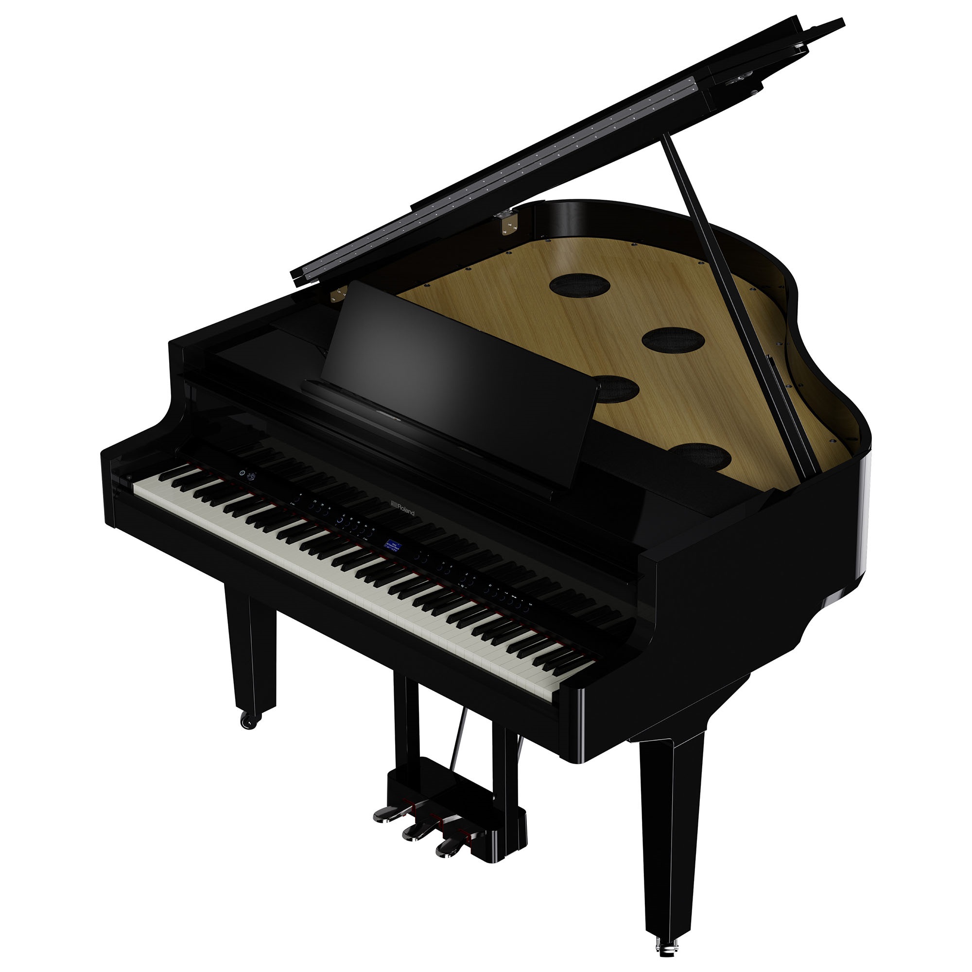 Roland GP-9M PE (obrázek 5)