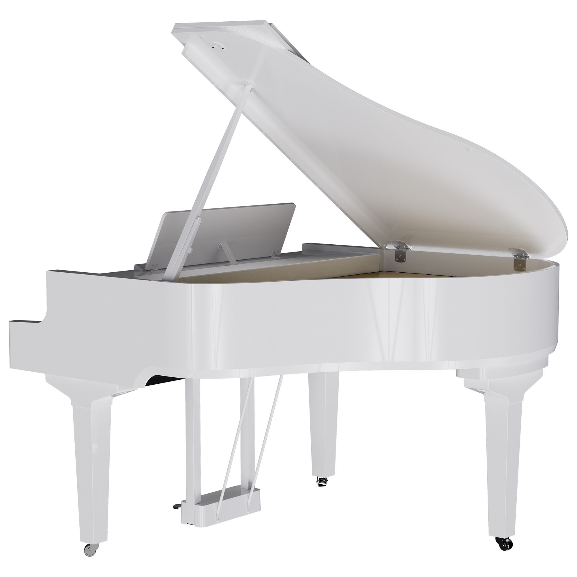 Roland GP-9 PW (obrázek 3)