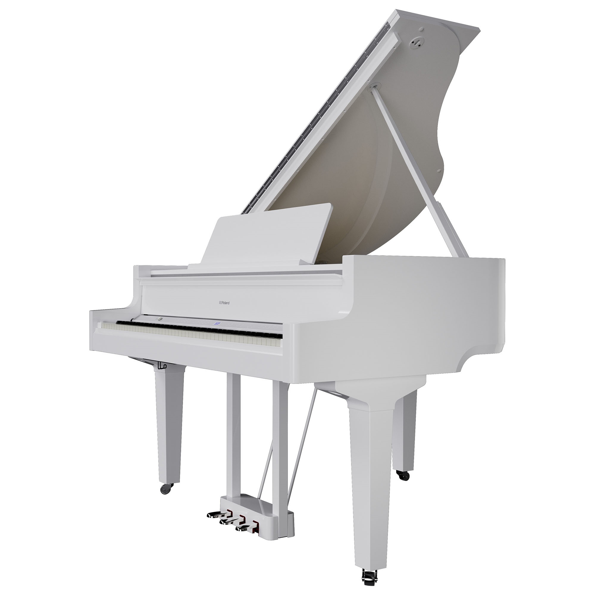 Roland GP-9 PW (obrázek 5)