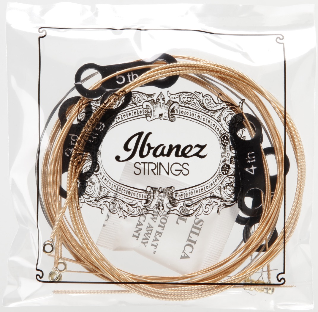 Ibanez IACSP62C (obrázek 3)