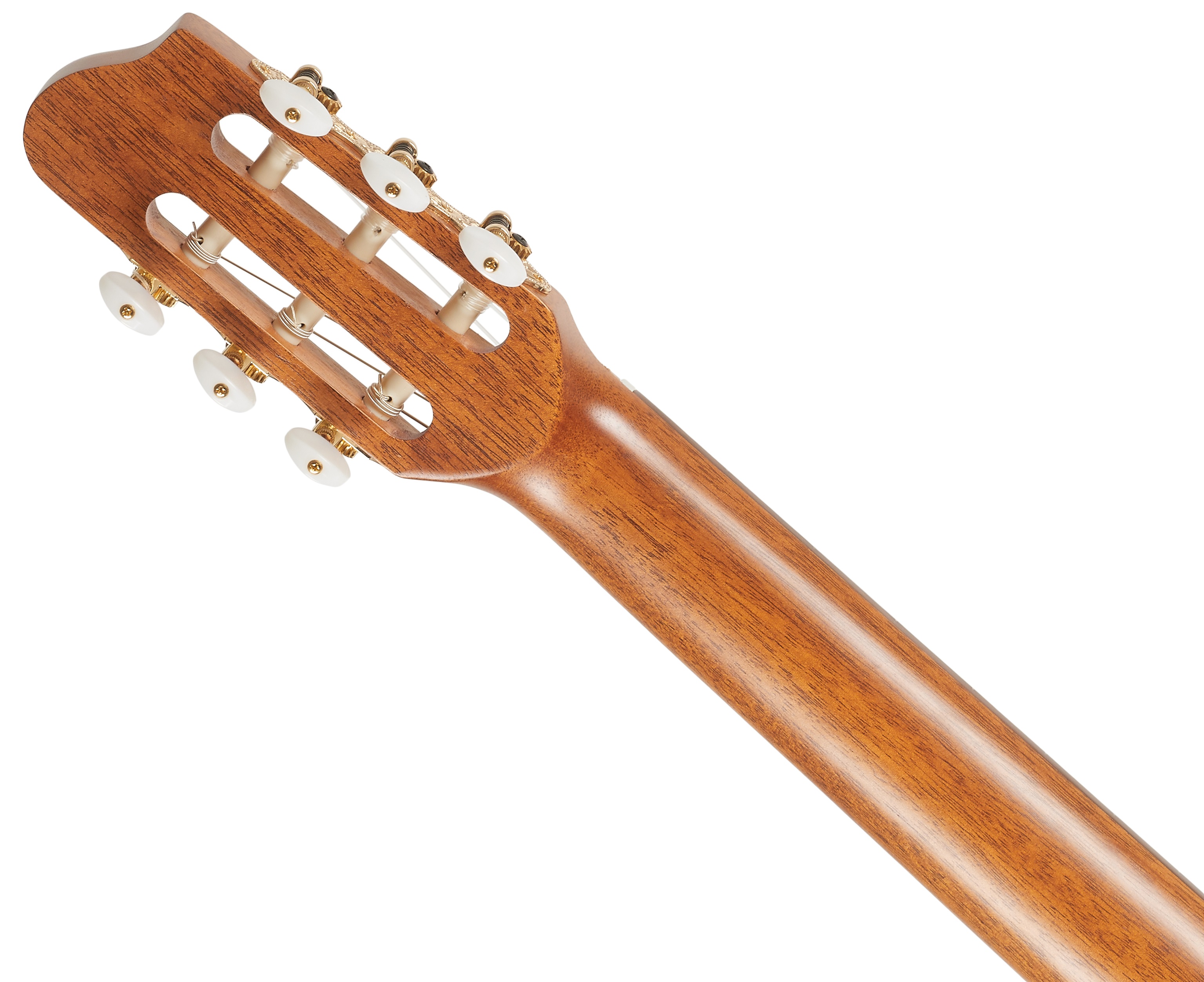 Godin Concert Left (obrázek 5)