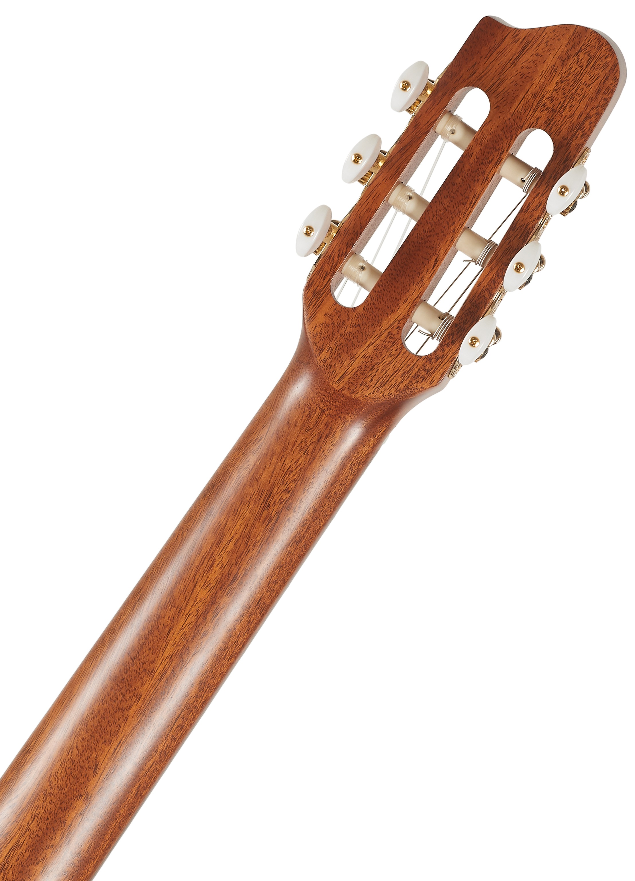 Godin Etude Clasica II (obrázek 6)