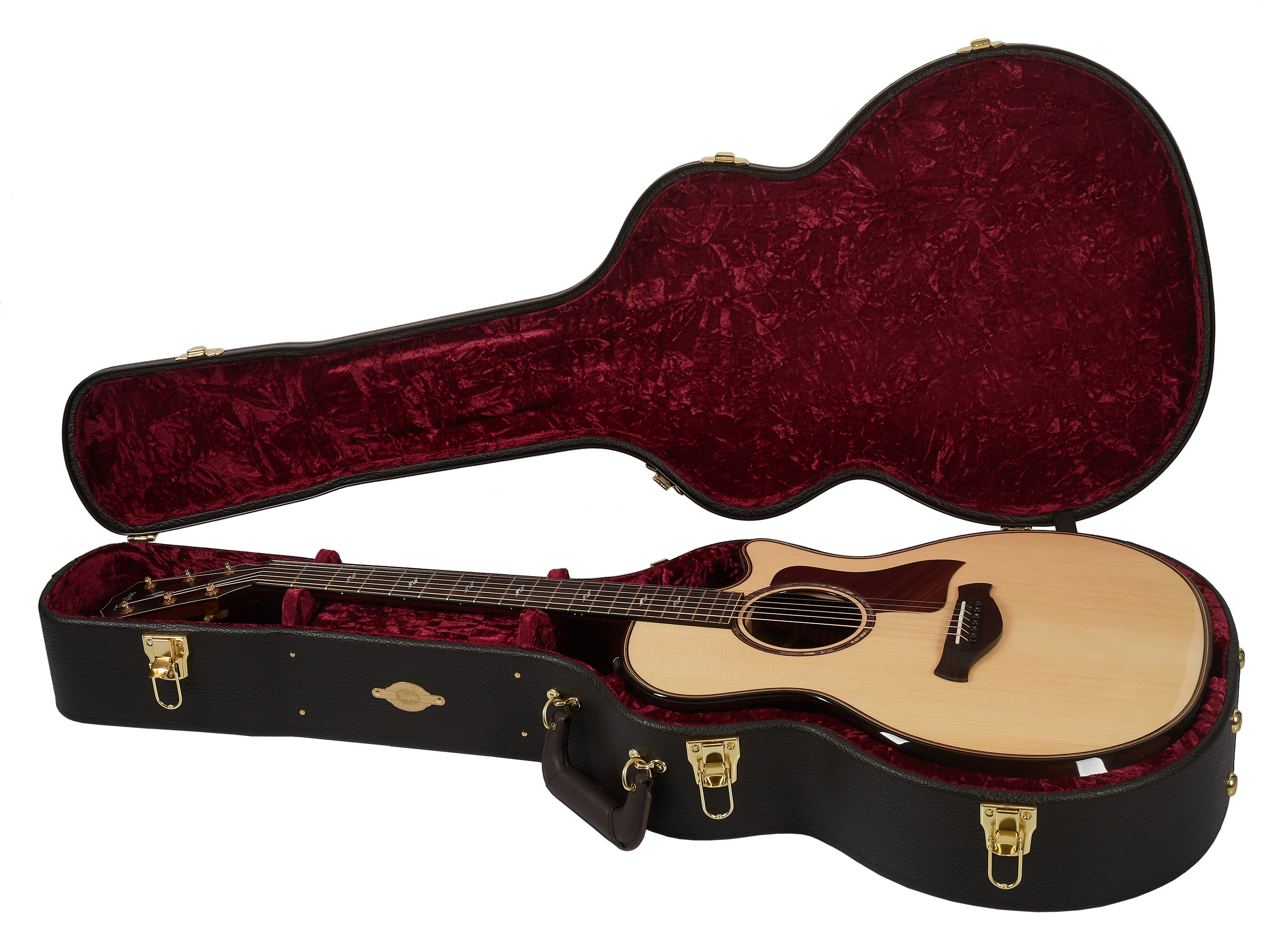 Taylor Builders Edition 814ce (obrázek 9)