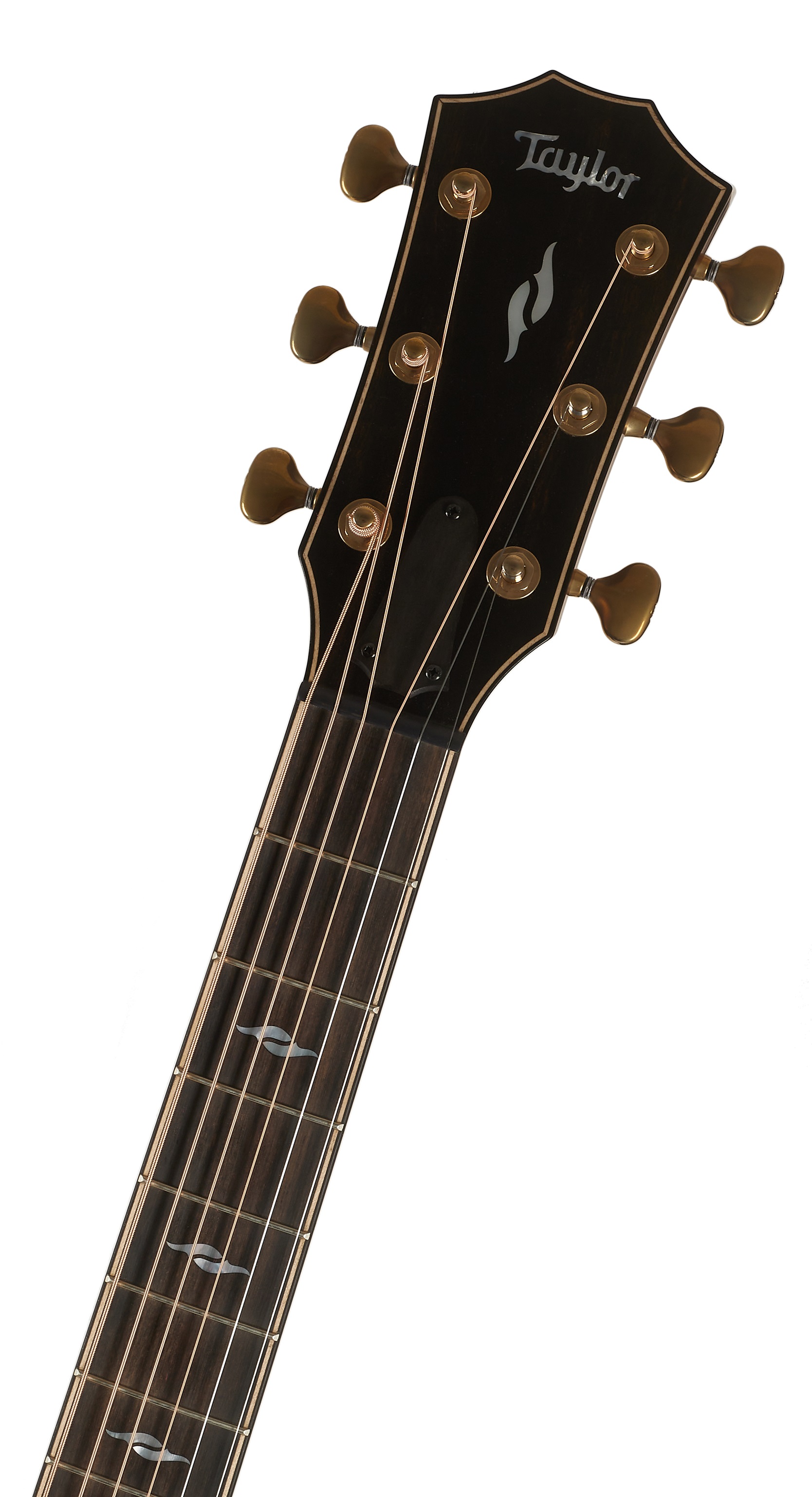 Taylor Builders Edition 814ce (obrázek 3)