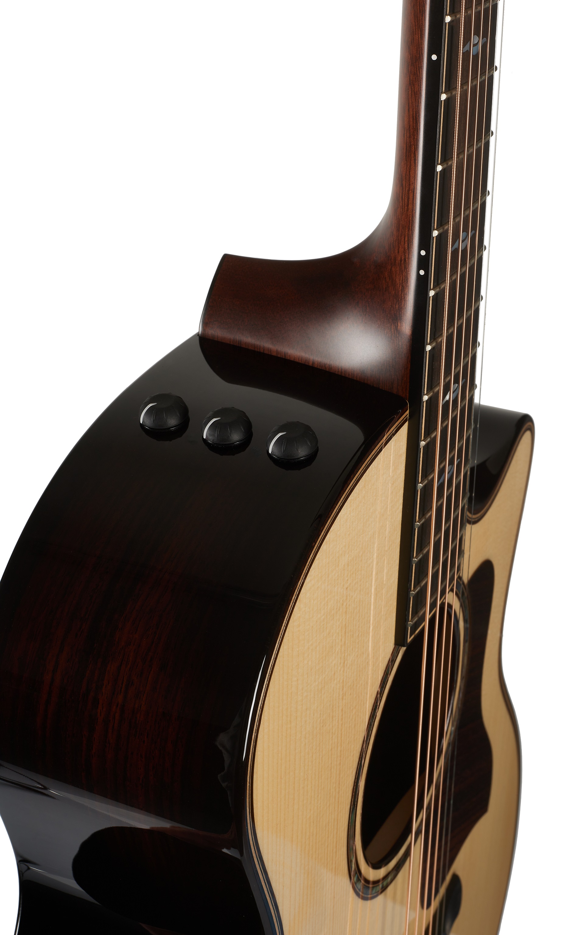 Taylor Builders Edition 814ce (obrázek 6)