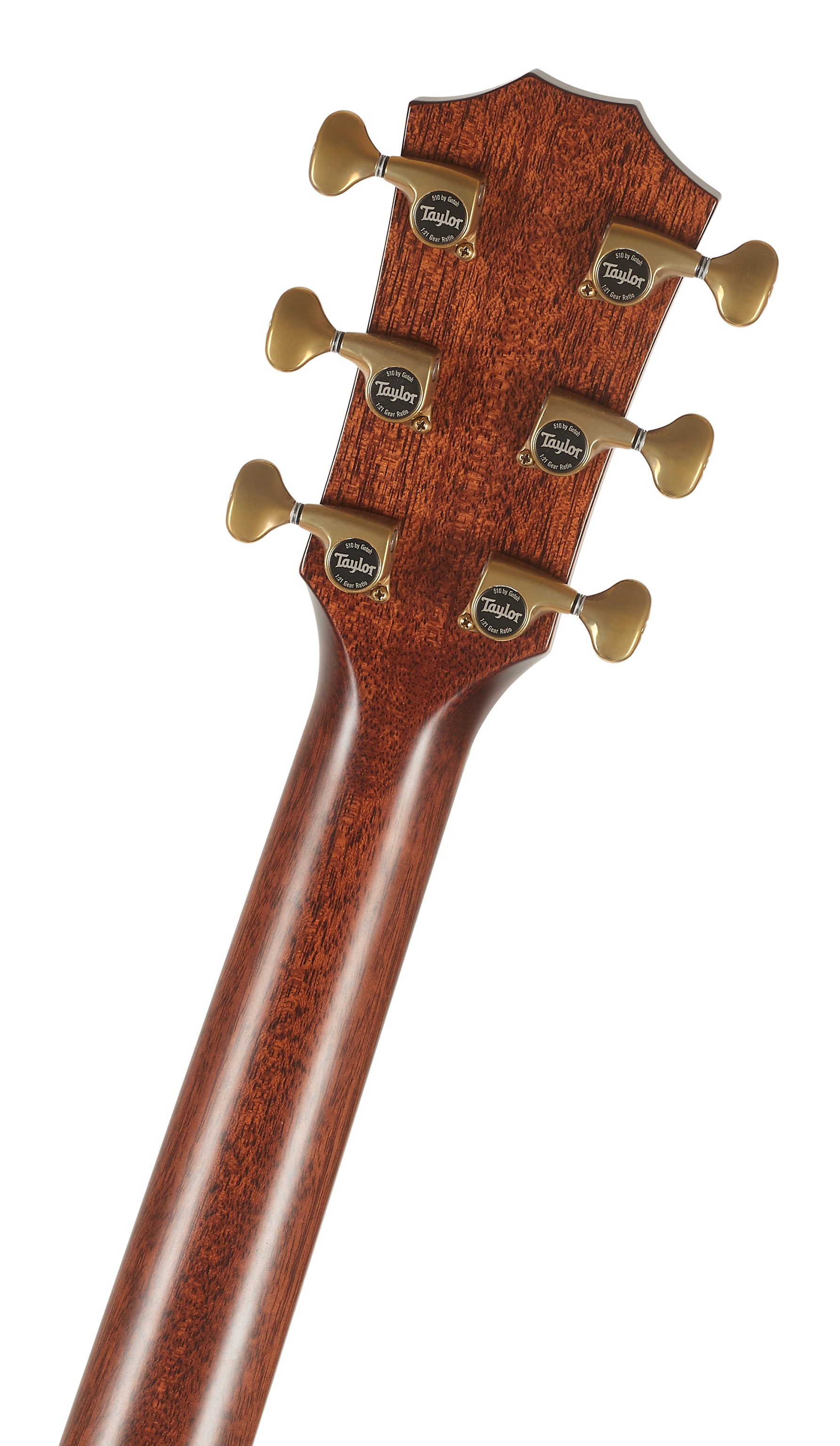 Taylor Builders Edition 814ce (obrázek 4)