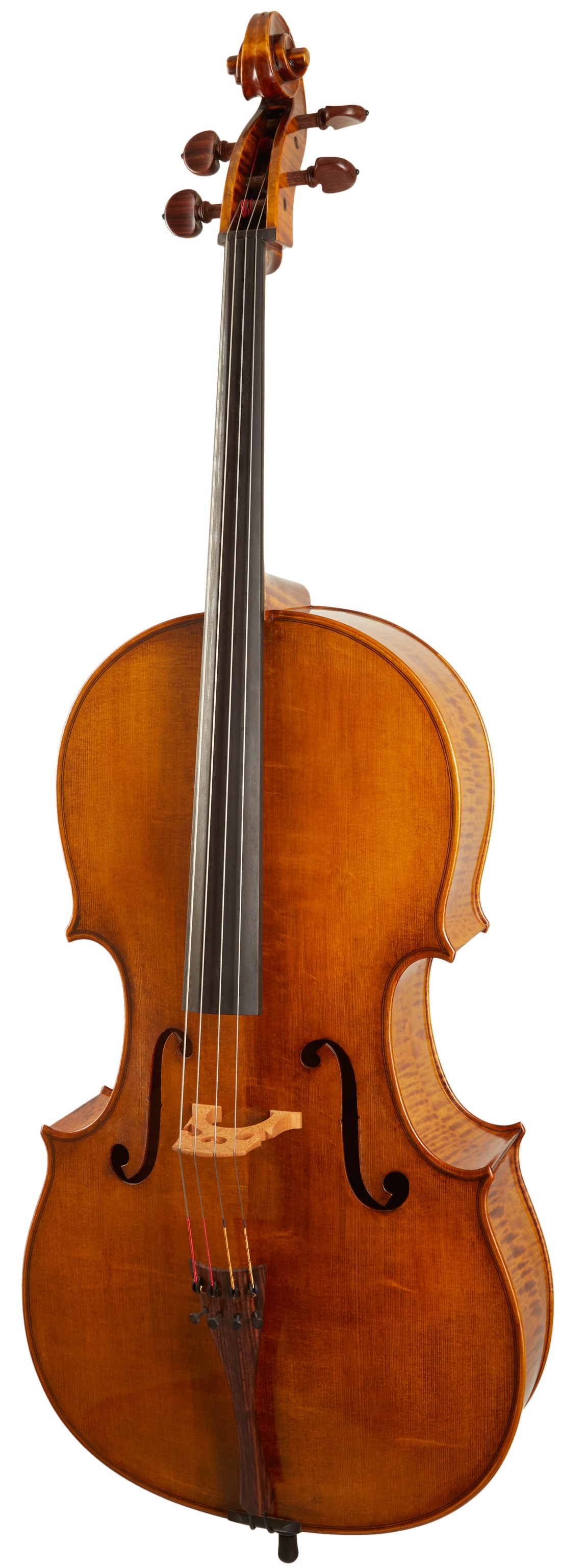 Levně Maestro Instrument Petr Rácz Violoncello anno 2015