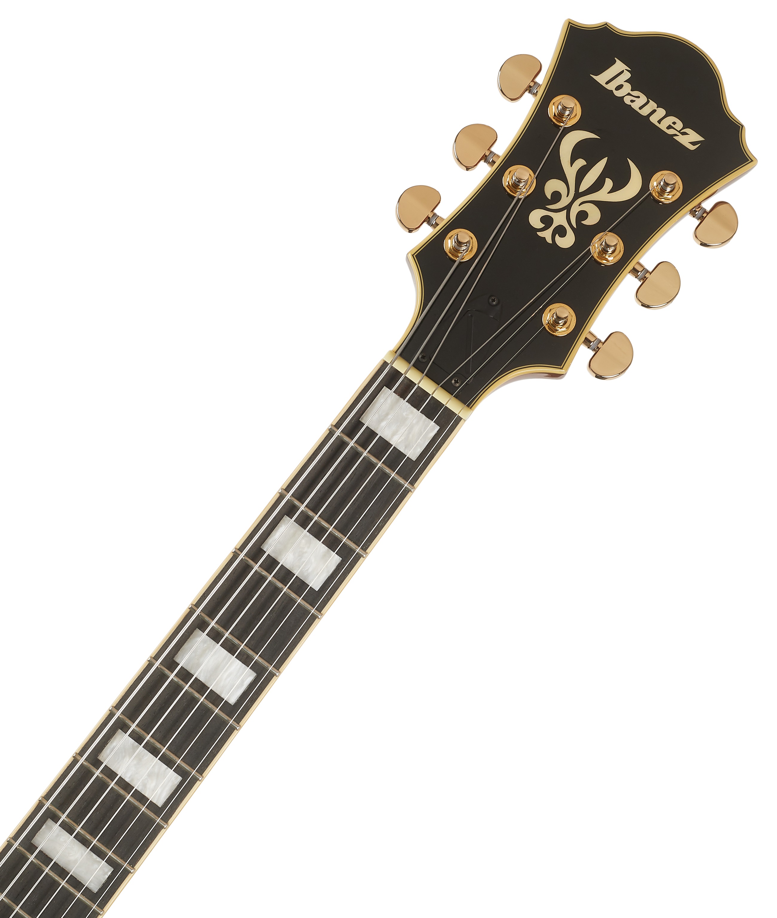 Ibanez AF95 Divine Amber (obrázek 4)