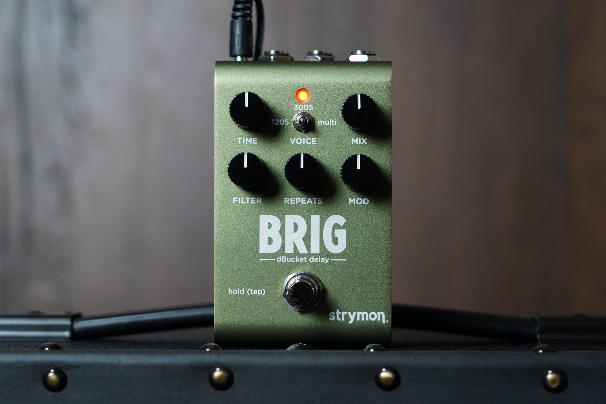 Strymon Brig (obrázek 5)