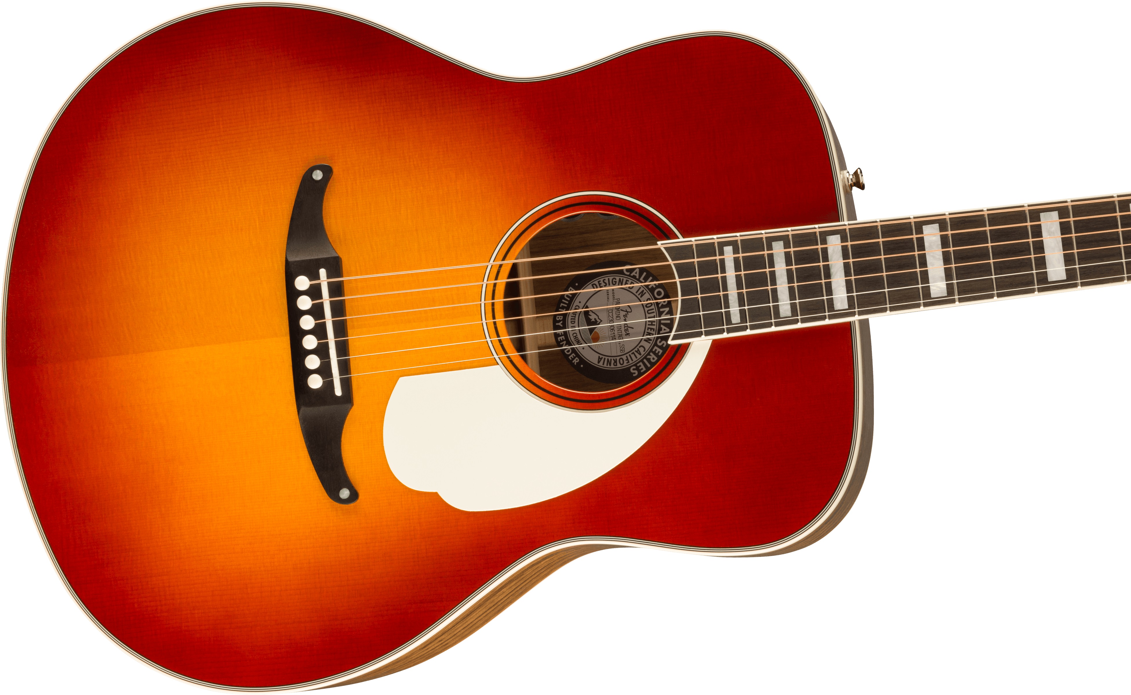 Fender Palomino Vintage SSB (obrázek 3)