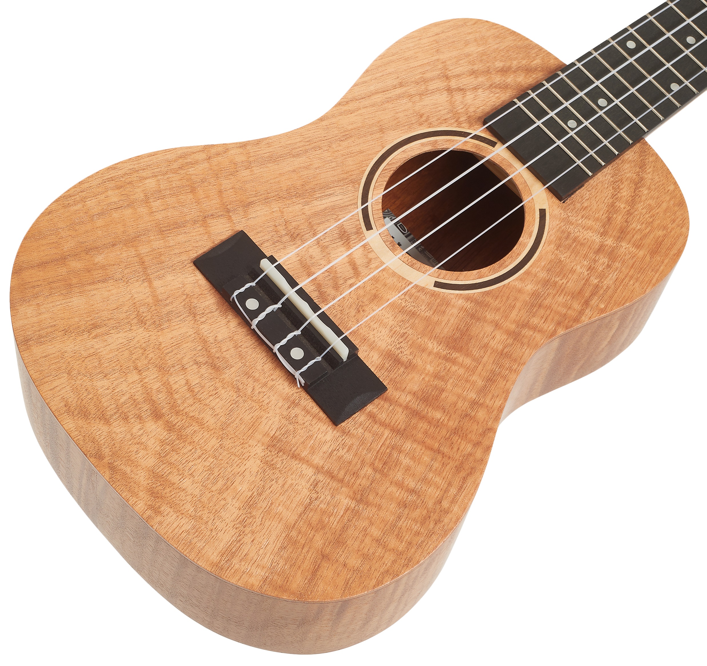 Tanglewood TWT6 (obrázek 3)