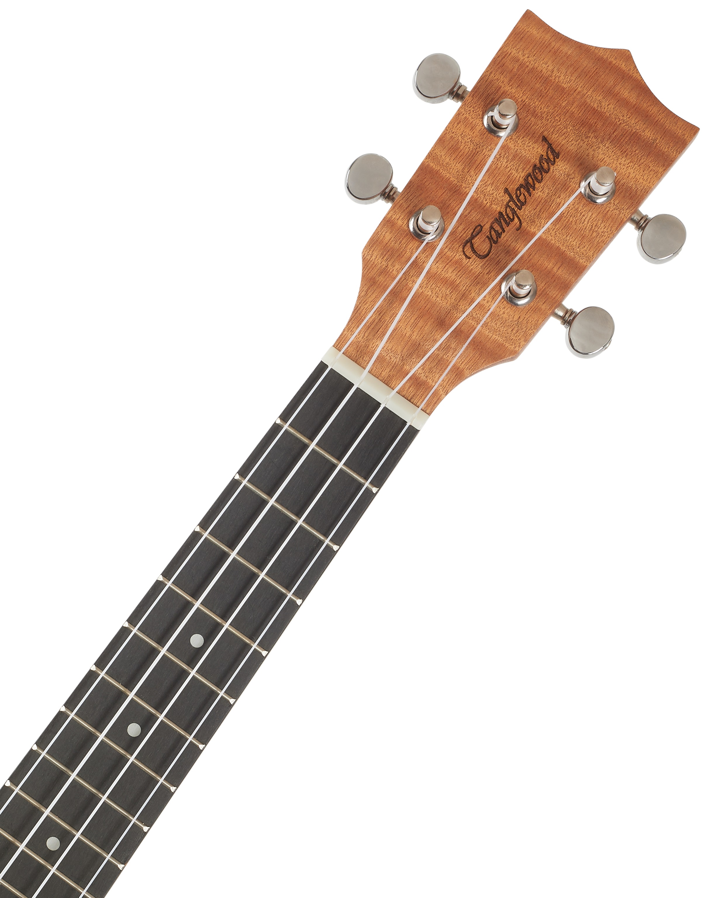 Tanglewood TWT6 (obrázek 4)
