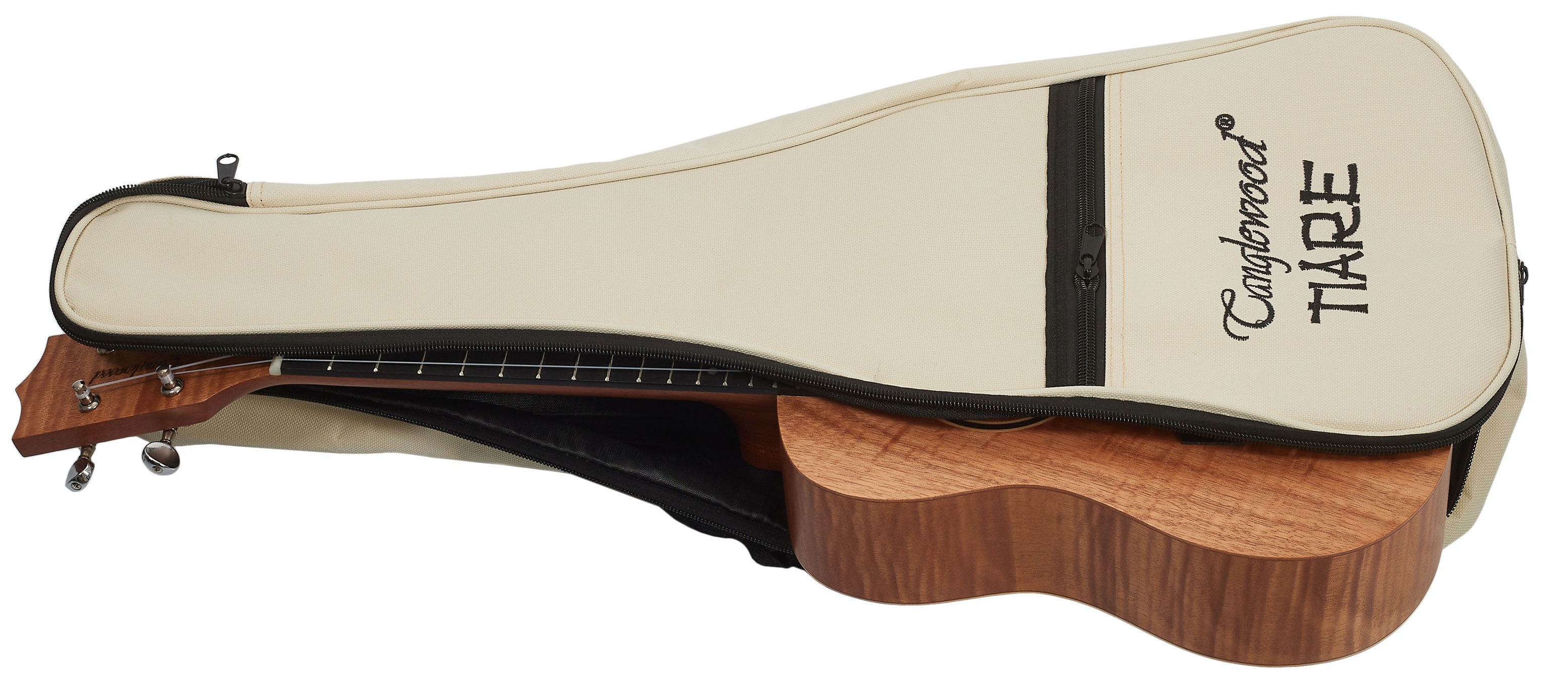 Tanglewood TWT6 (obrázek 6)