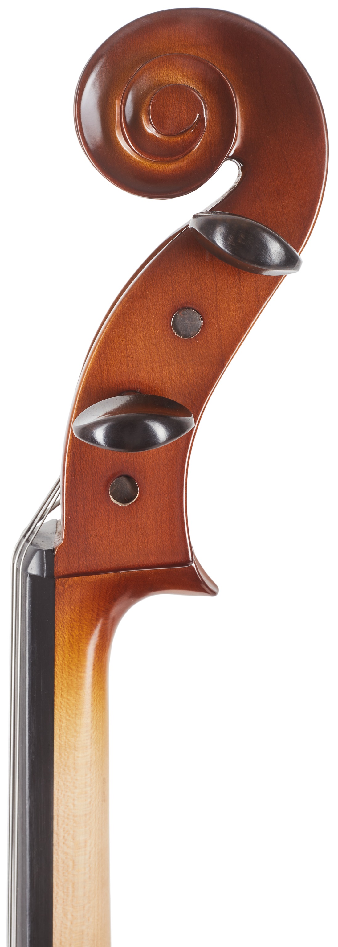 Bacio Instruments Student Cello (GC104) 1/2 (obrázek 7)