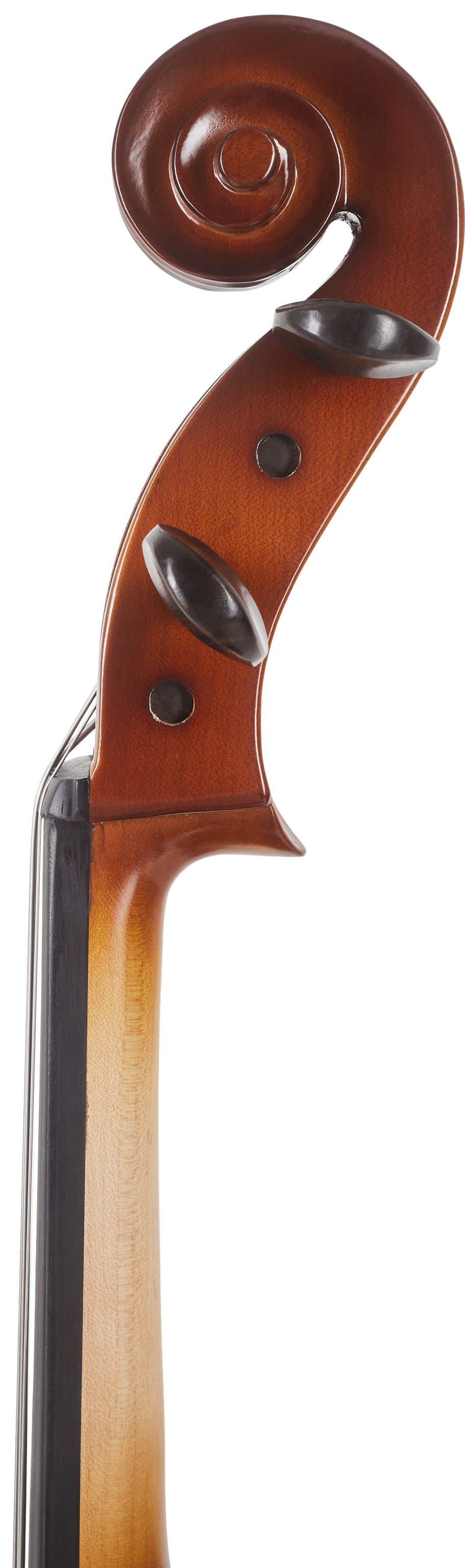 Bacio Instruments Student Cello (GC104) 1/4 (obrázek 8)