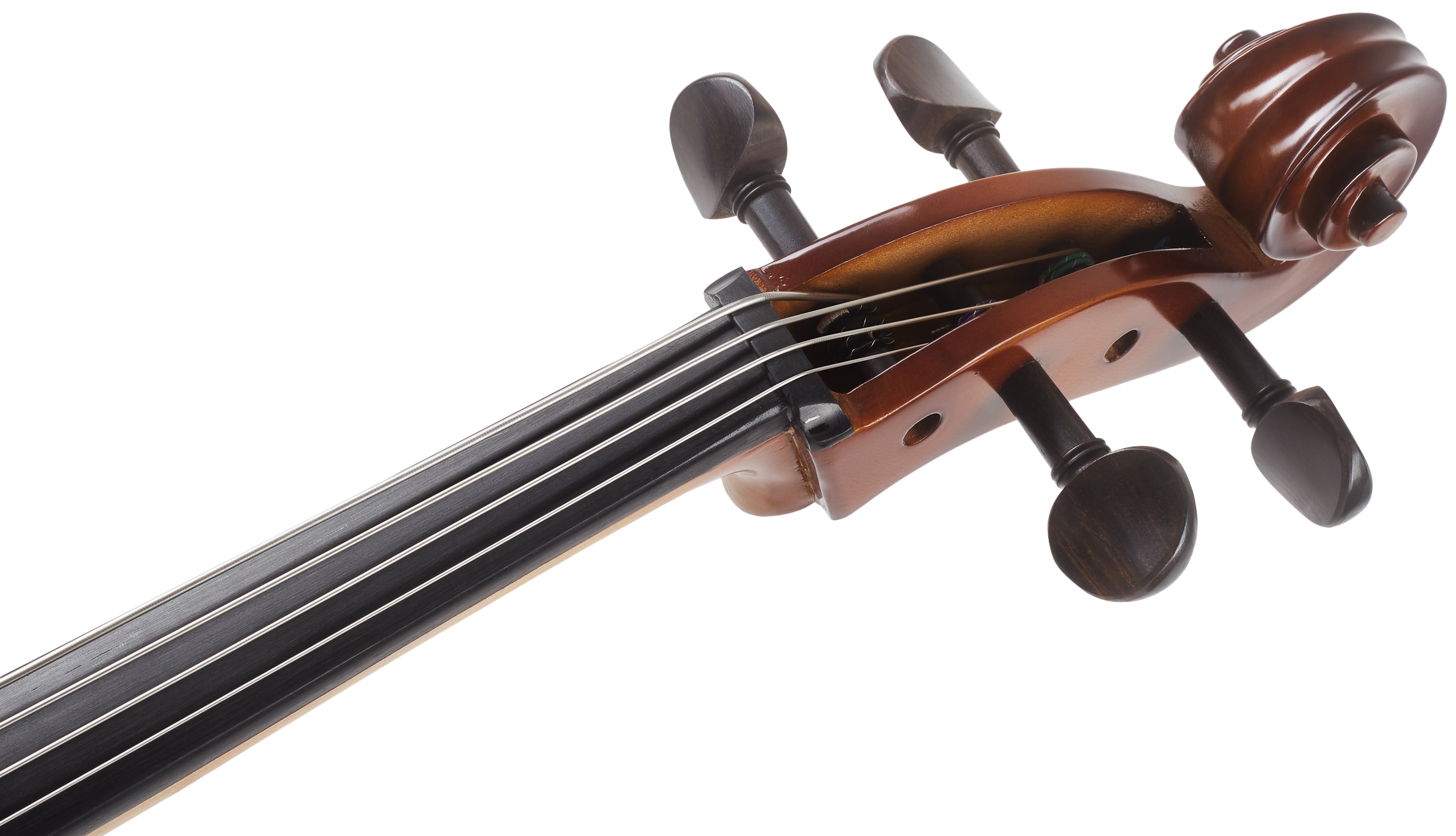 Bacio Instruments Student Cello (GC104) 1/4 (obrázek 9)
