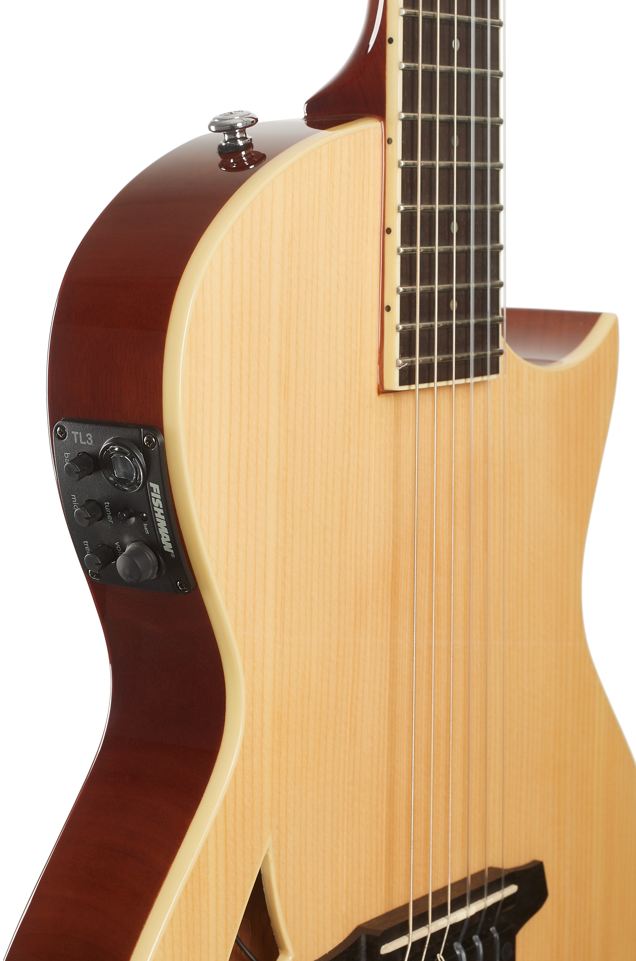 ESP LTD TL-6 N NAT (obrázek 4)