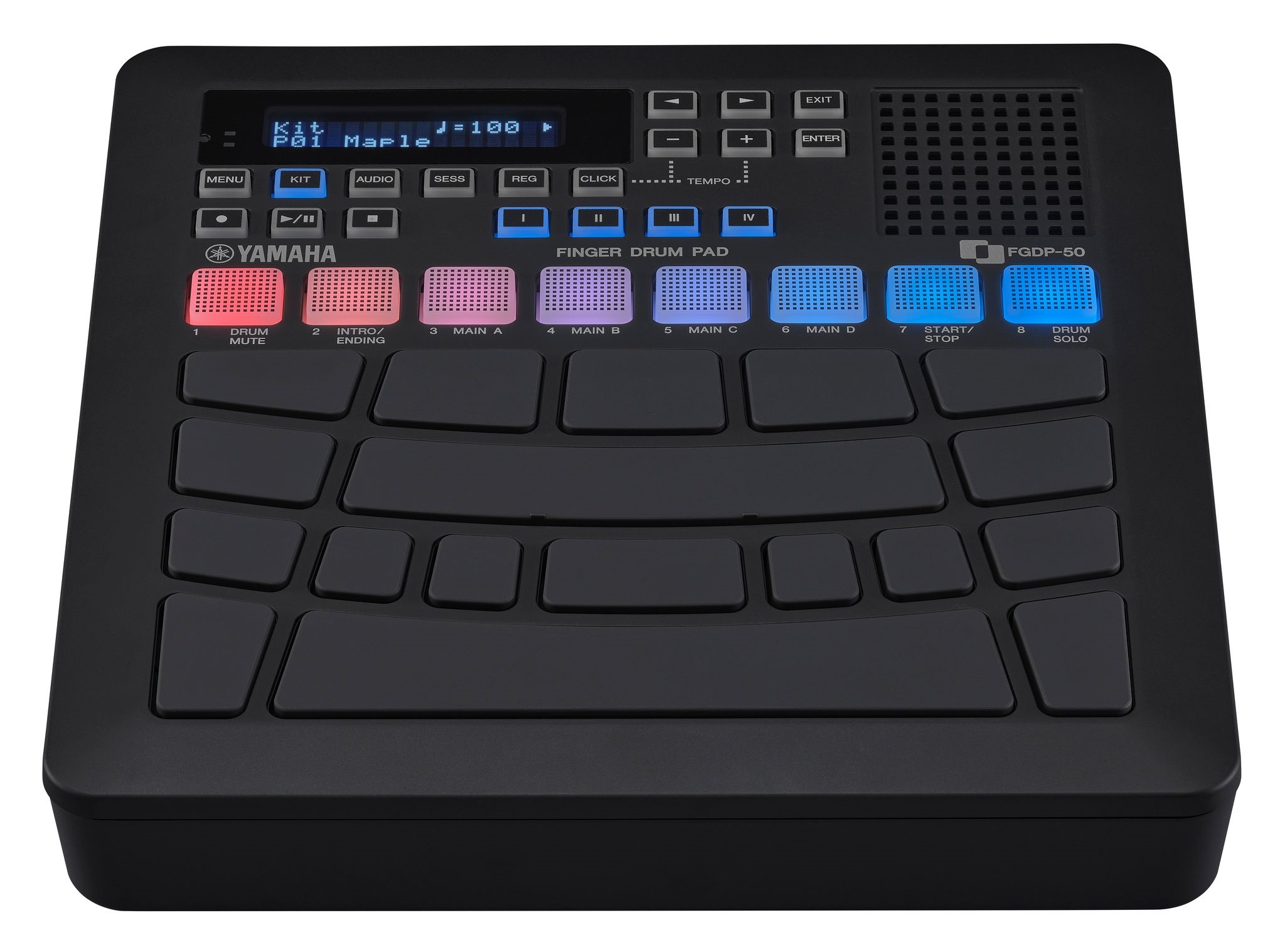 Yamaha FGDP-50 (obrázek 5)