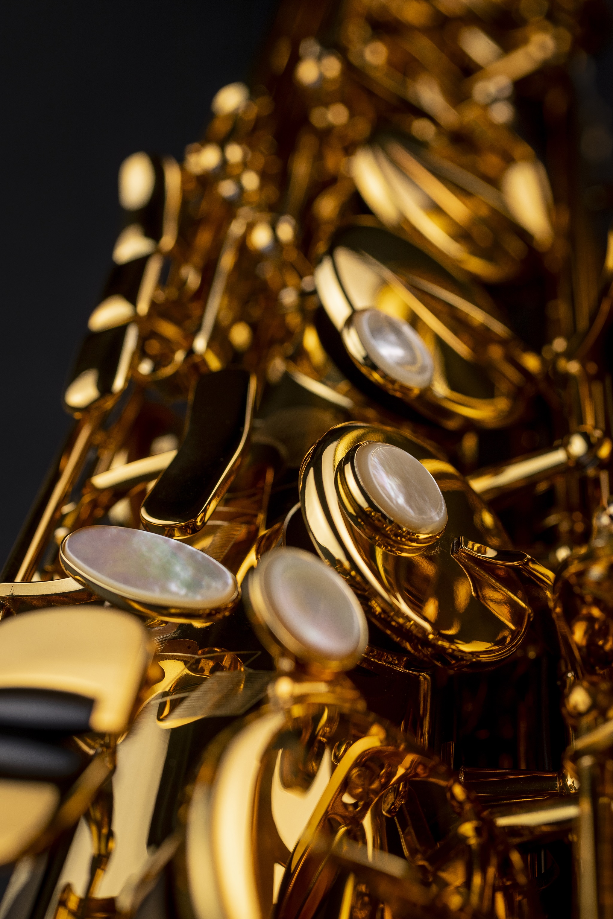 Selmer Signature Tenor, Lacquer (obrázek 9)