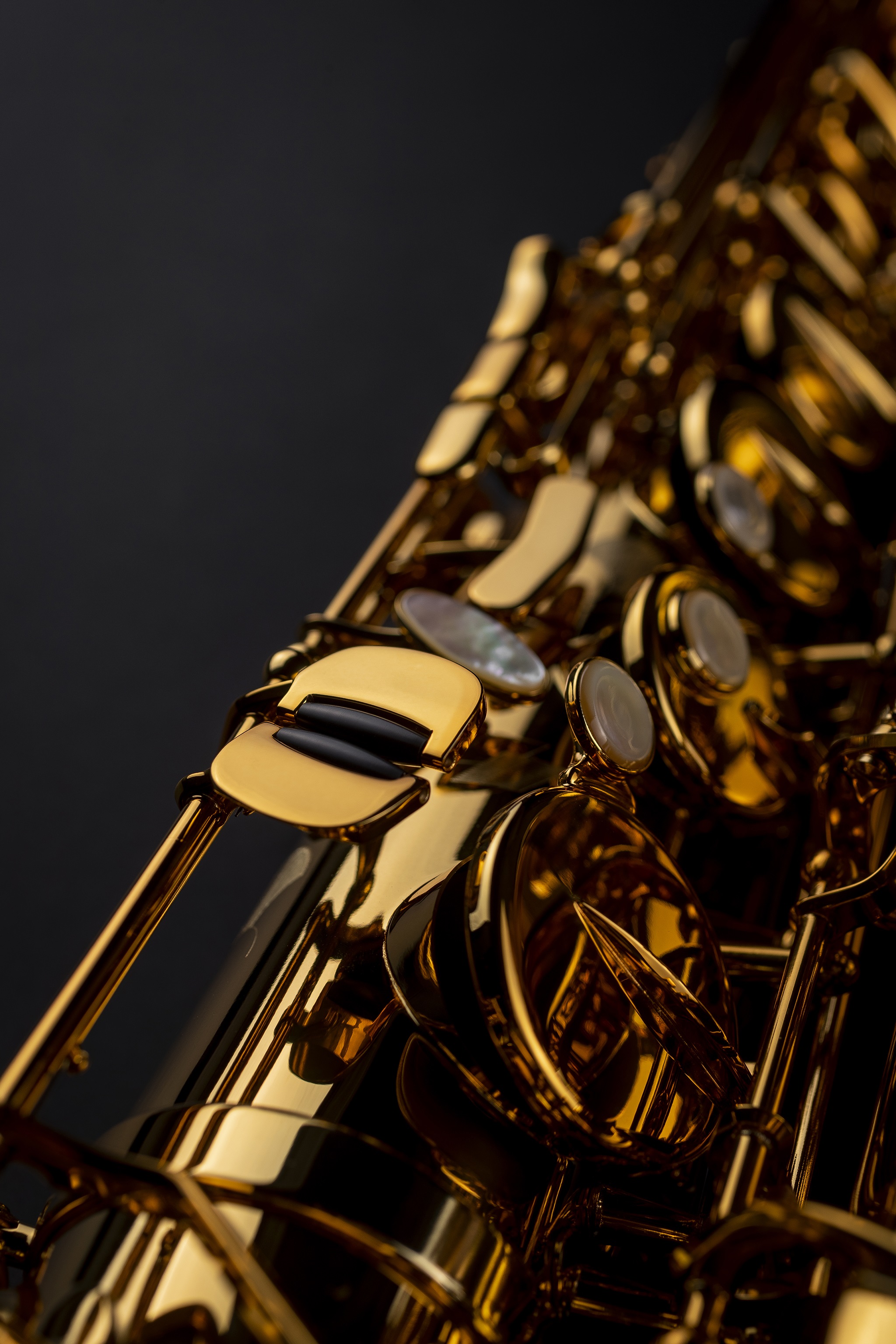 Selmer Signature Tenor, Lacquer (obrázek 10)