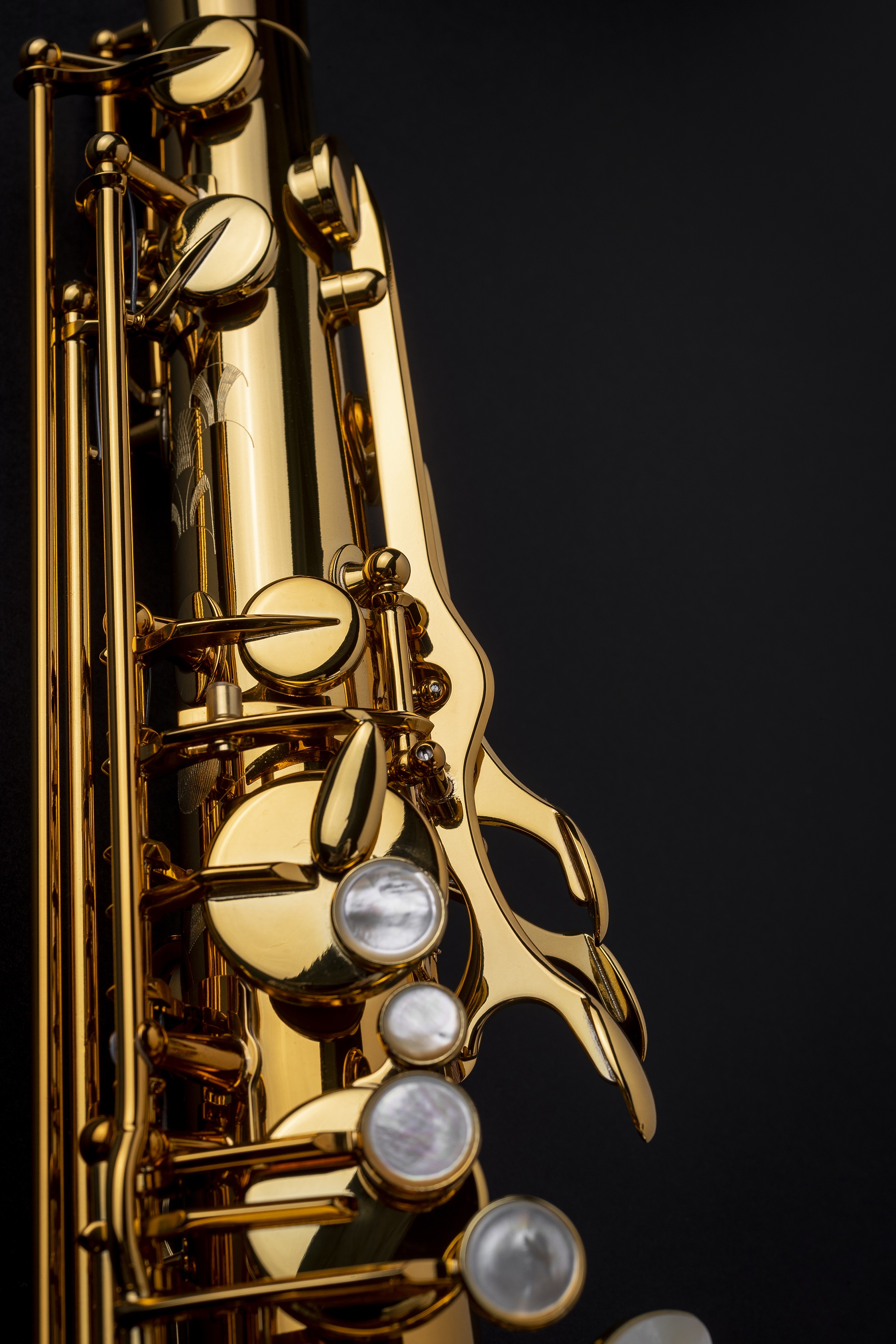 Selmer Signature Tenor, Lacquer (obrázek 11)