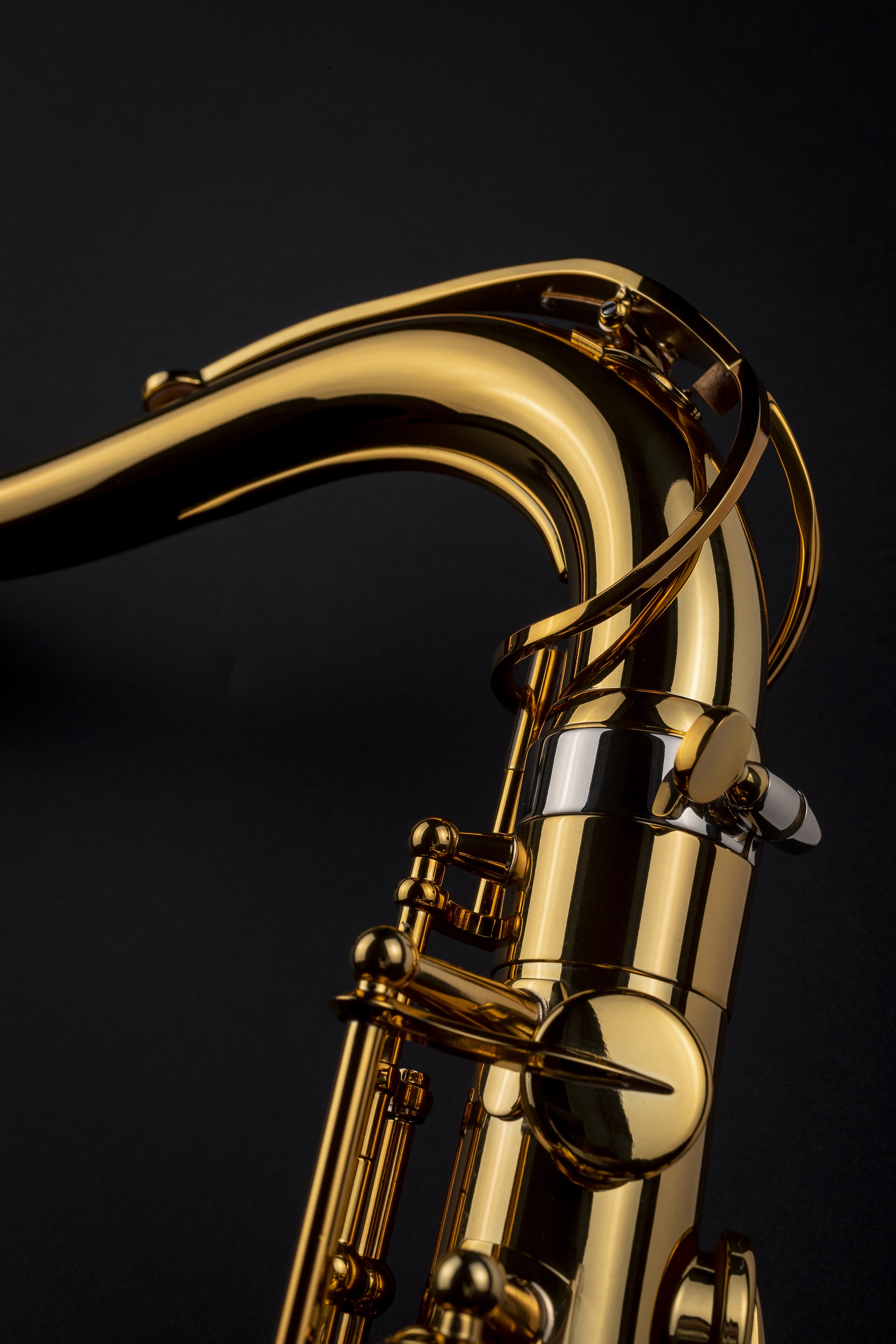 Selmer Signature Tenor, Lacquer (obrázek 12)