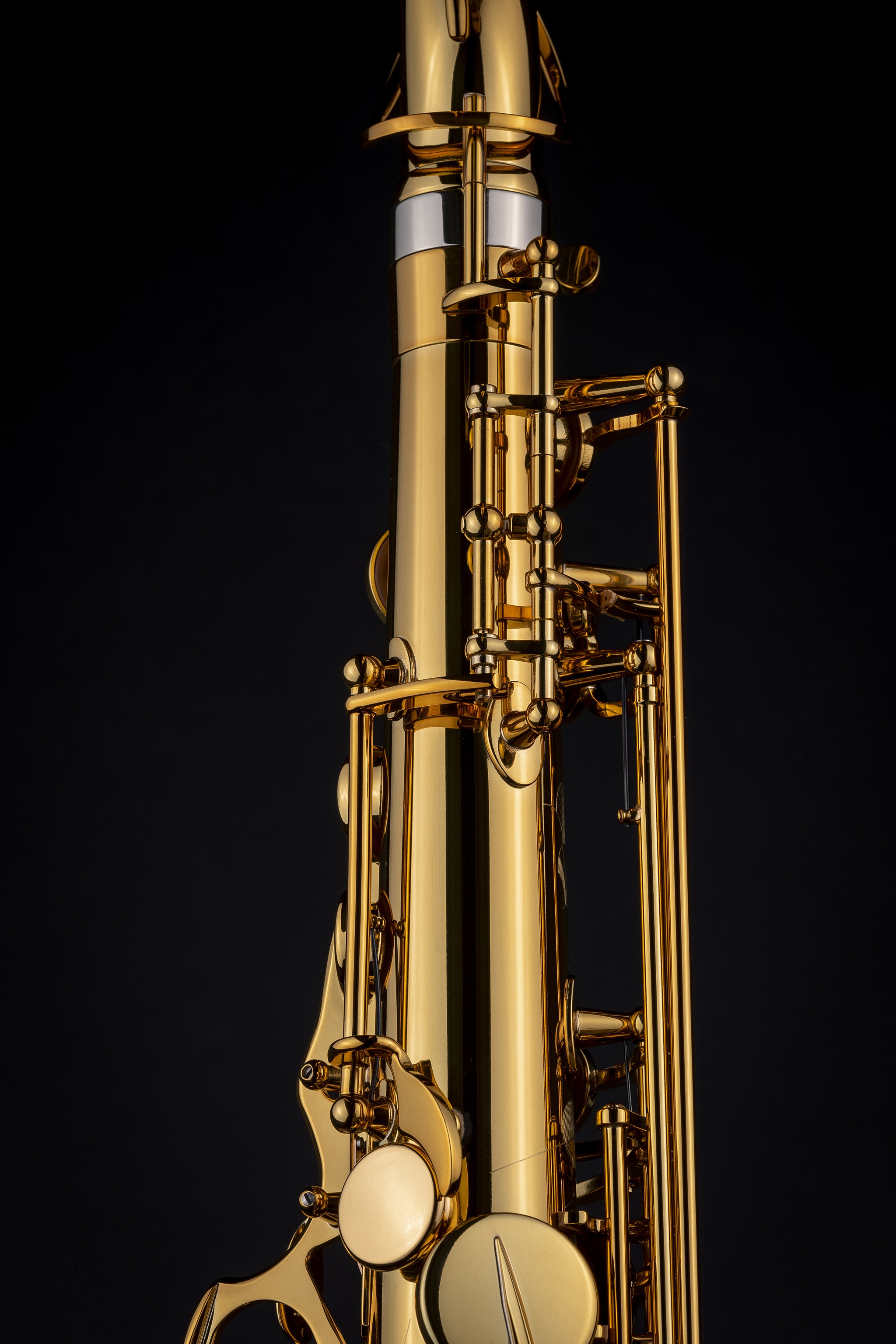 Selmer Signature Tenor, Lacquer (obrázek 13)