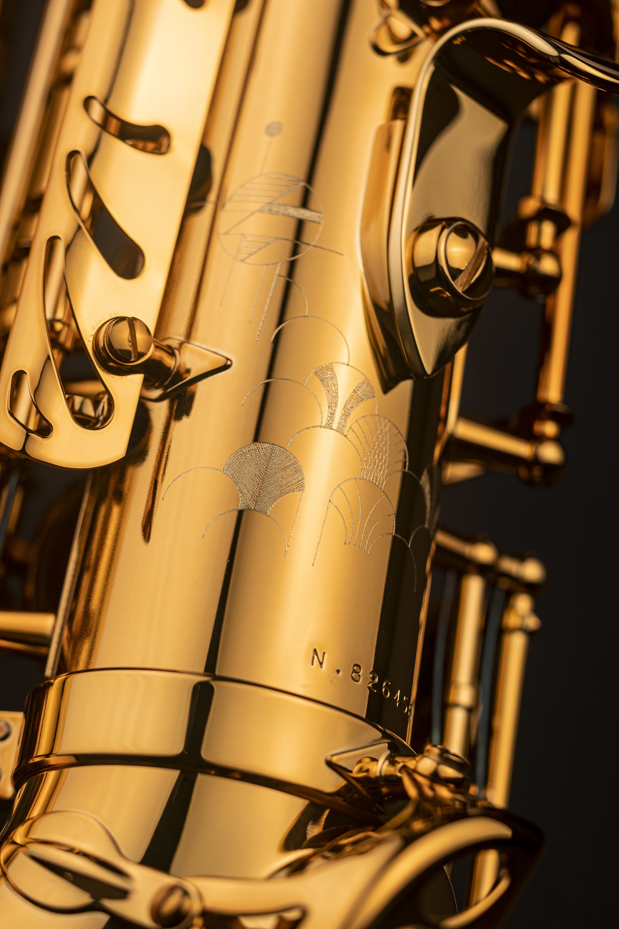 Selmer Signature Lacquer (obrázek 4)