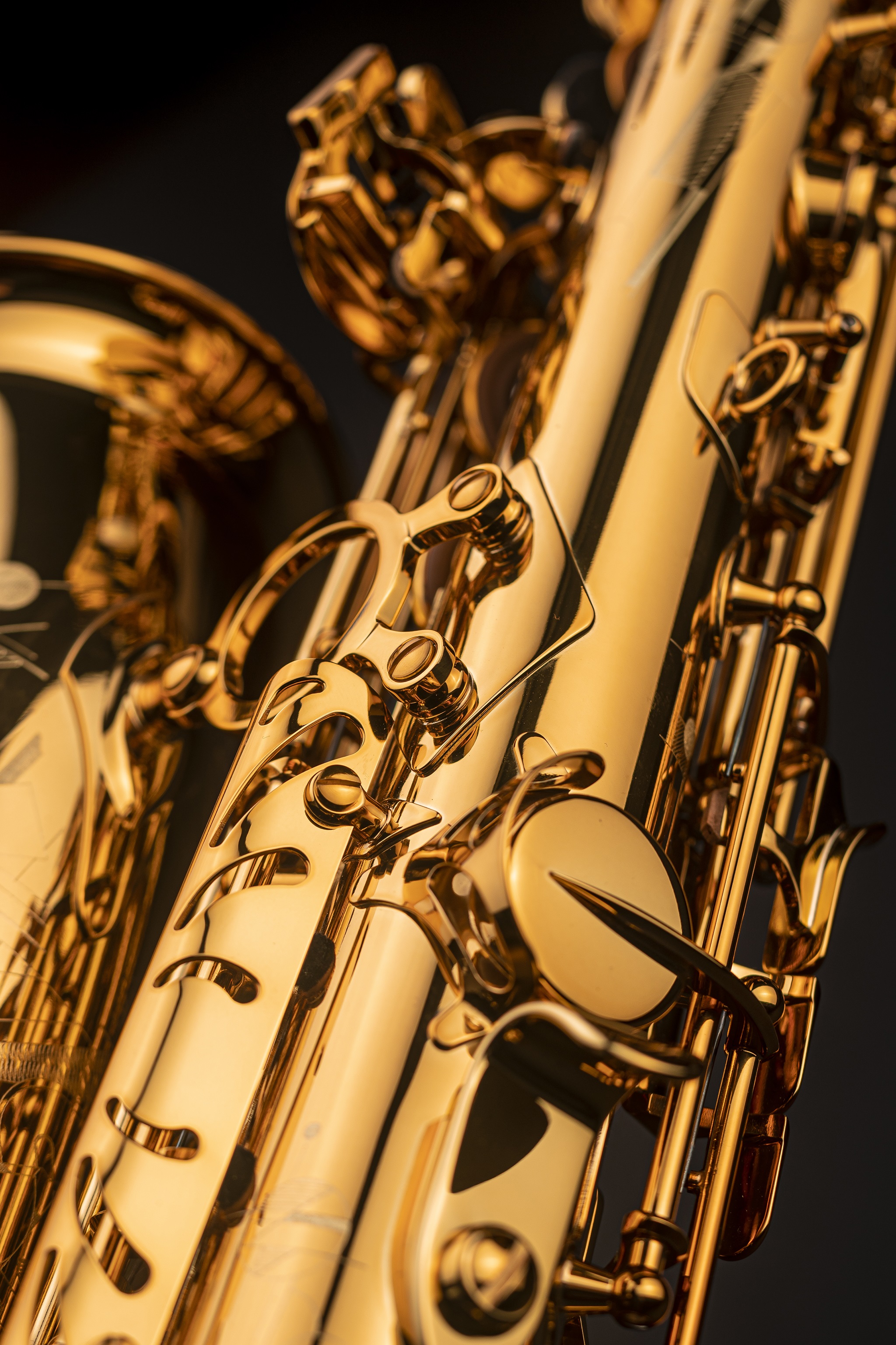 Selmer Signature Lacquer (obrázek 5)