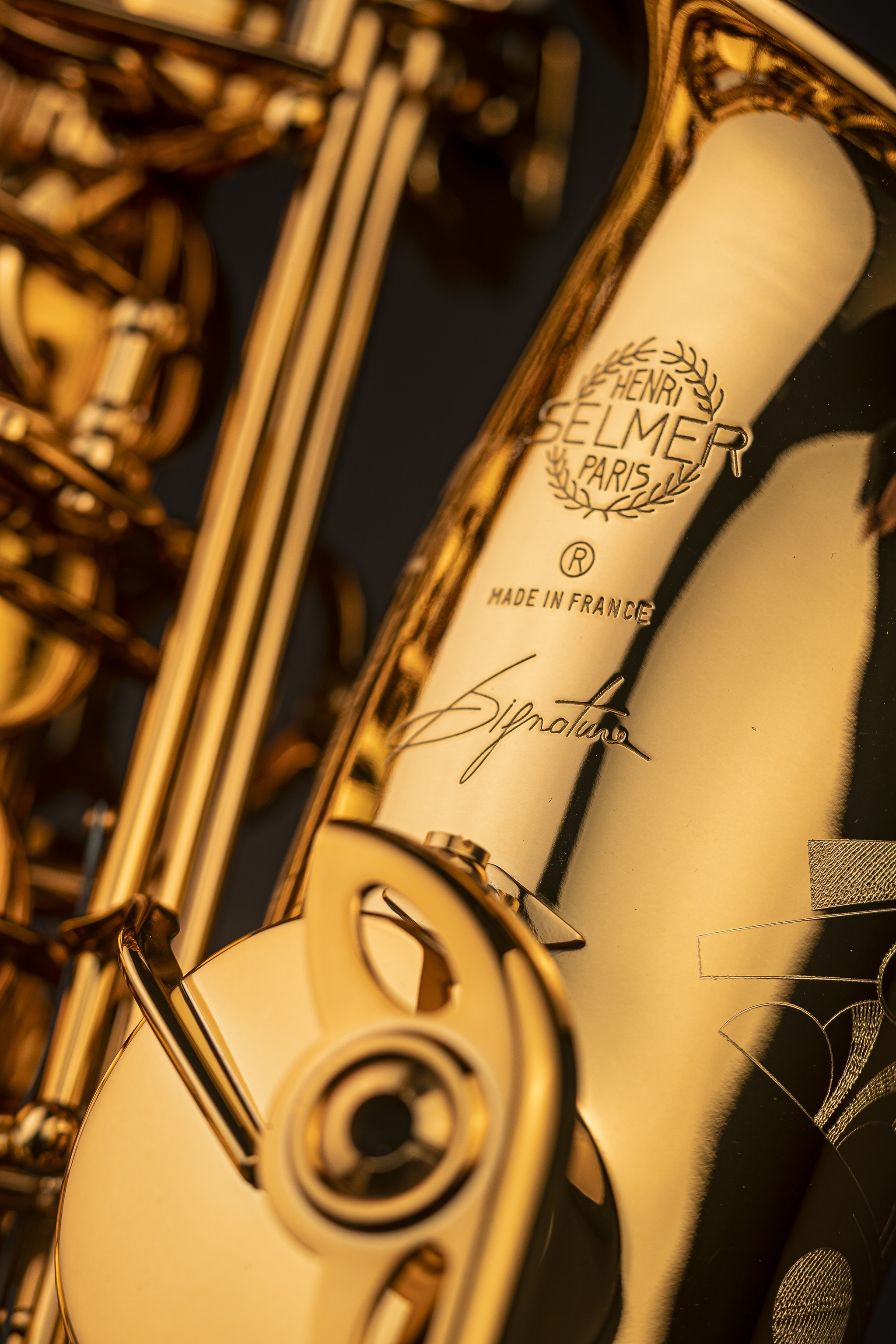 Selmer Signature Lacquer (obrázek 7)