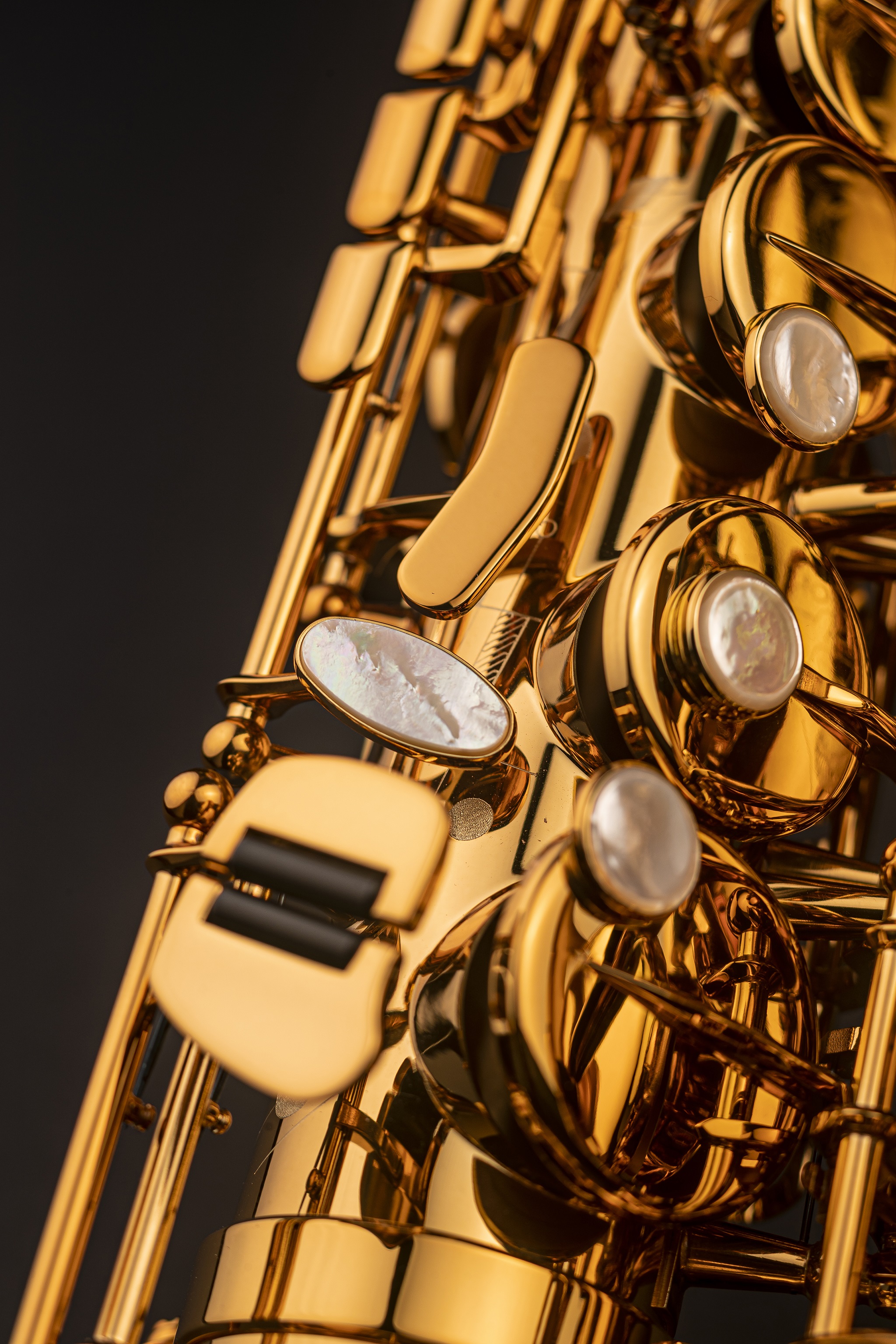 Selmer Signature Lacquer (obrázek 8)